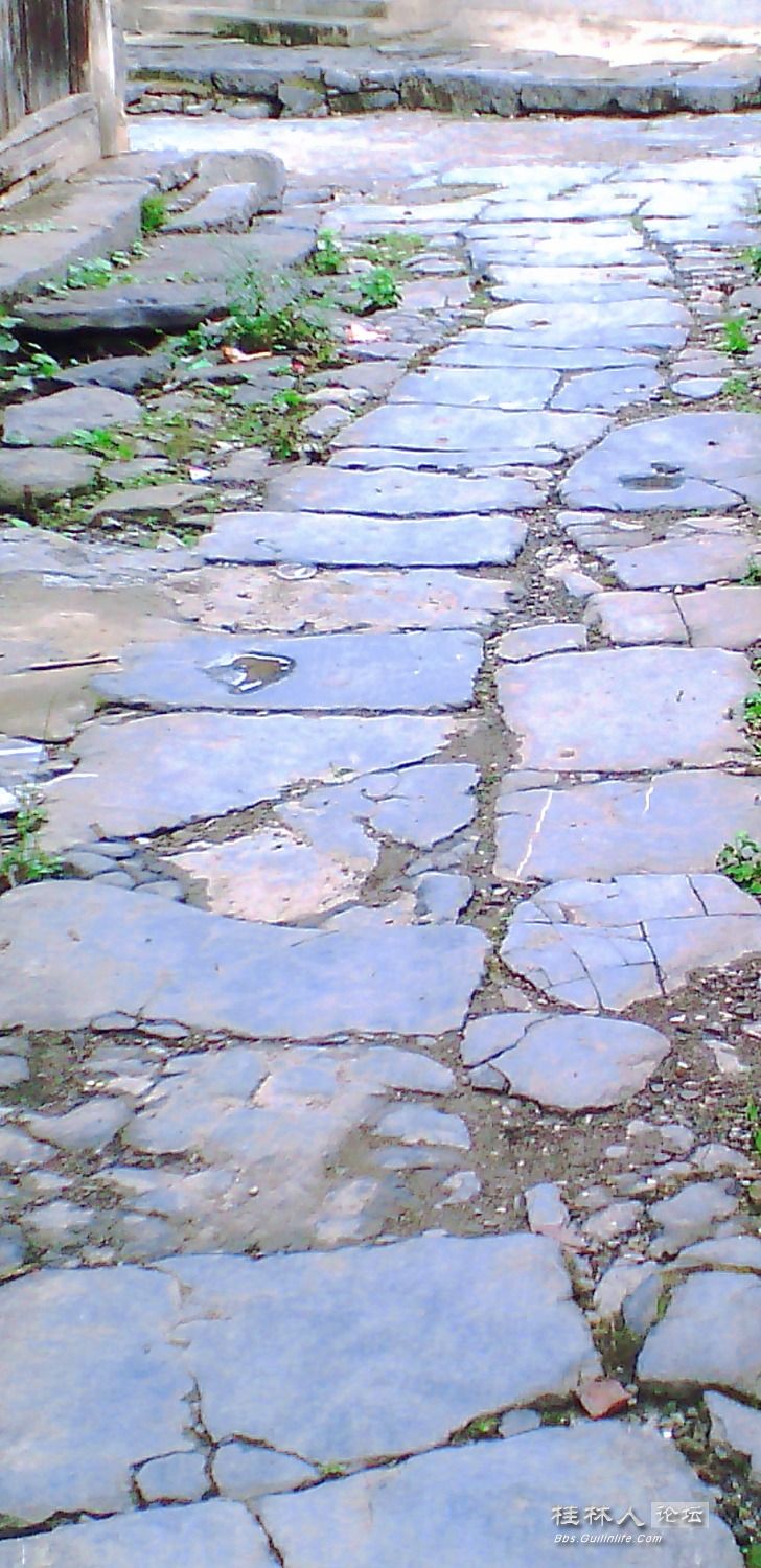MTXX_MH20230806_121011920.jpg