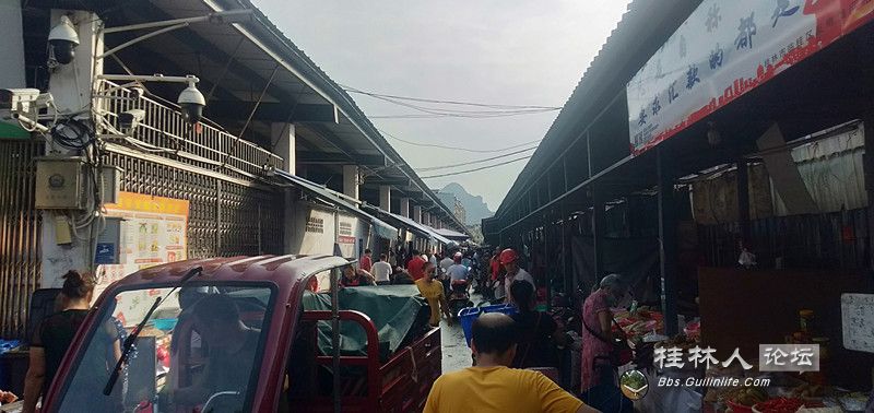 IMG20230812075958.jpg