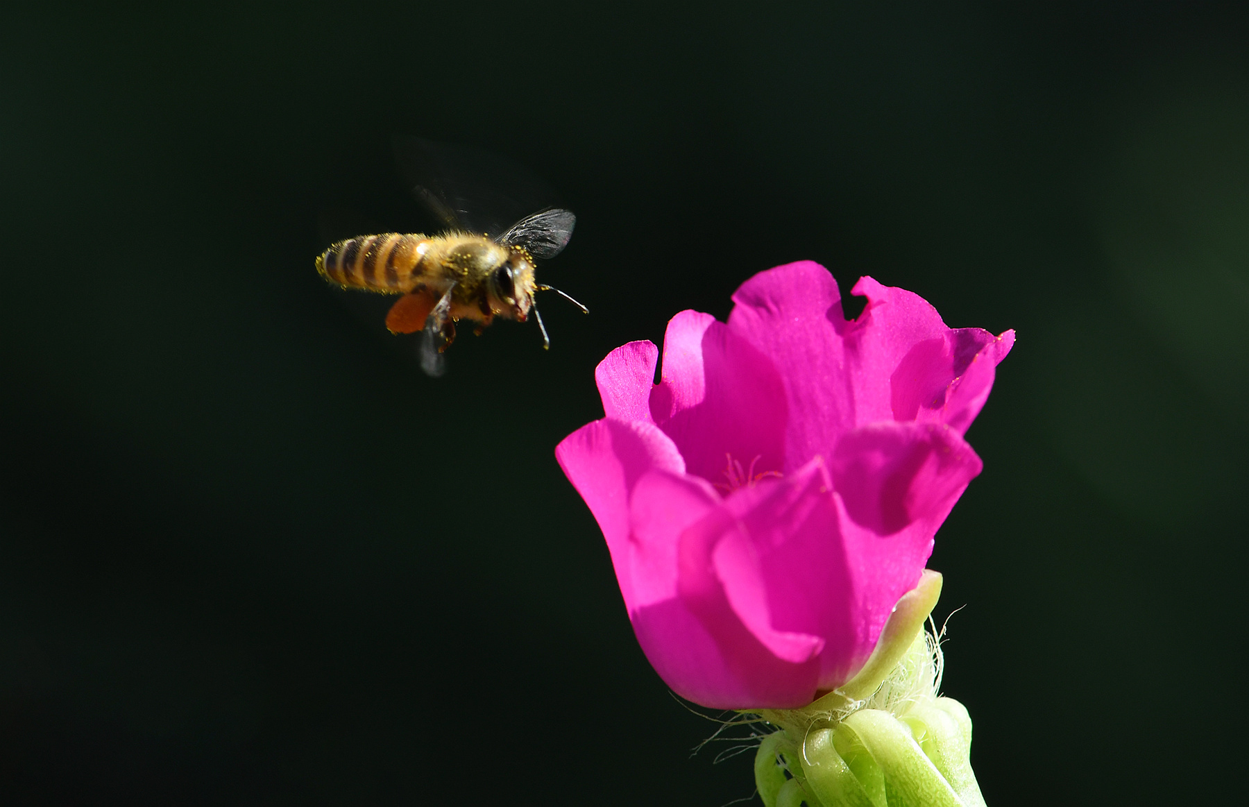DSC_2144_2.jpg