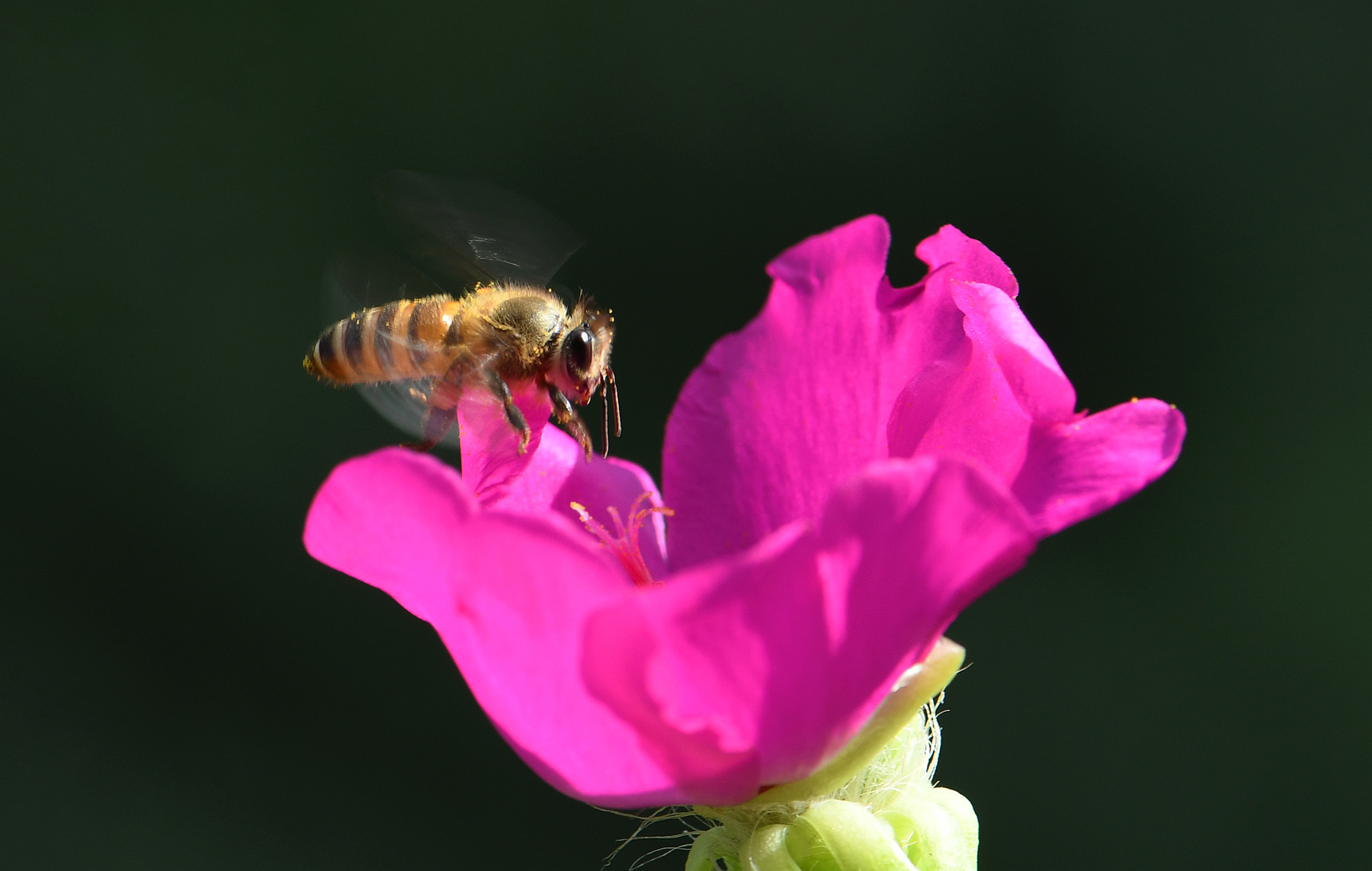 DSC_2284_2.jpg
