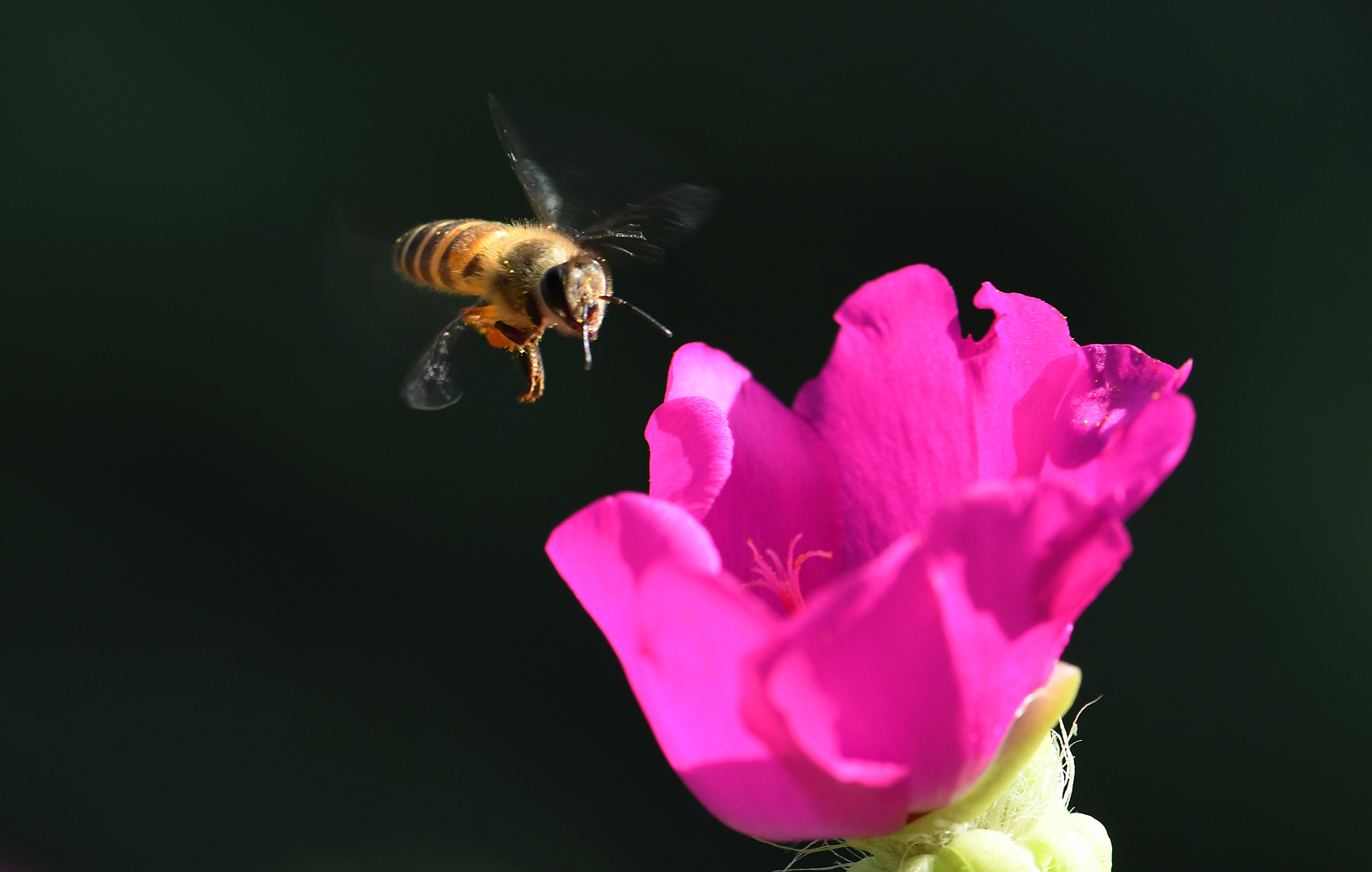 DSC_2187_.jpg