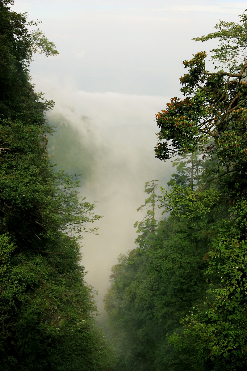 IMG_6997.JPG