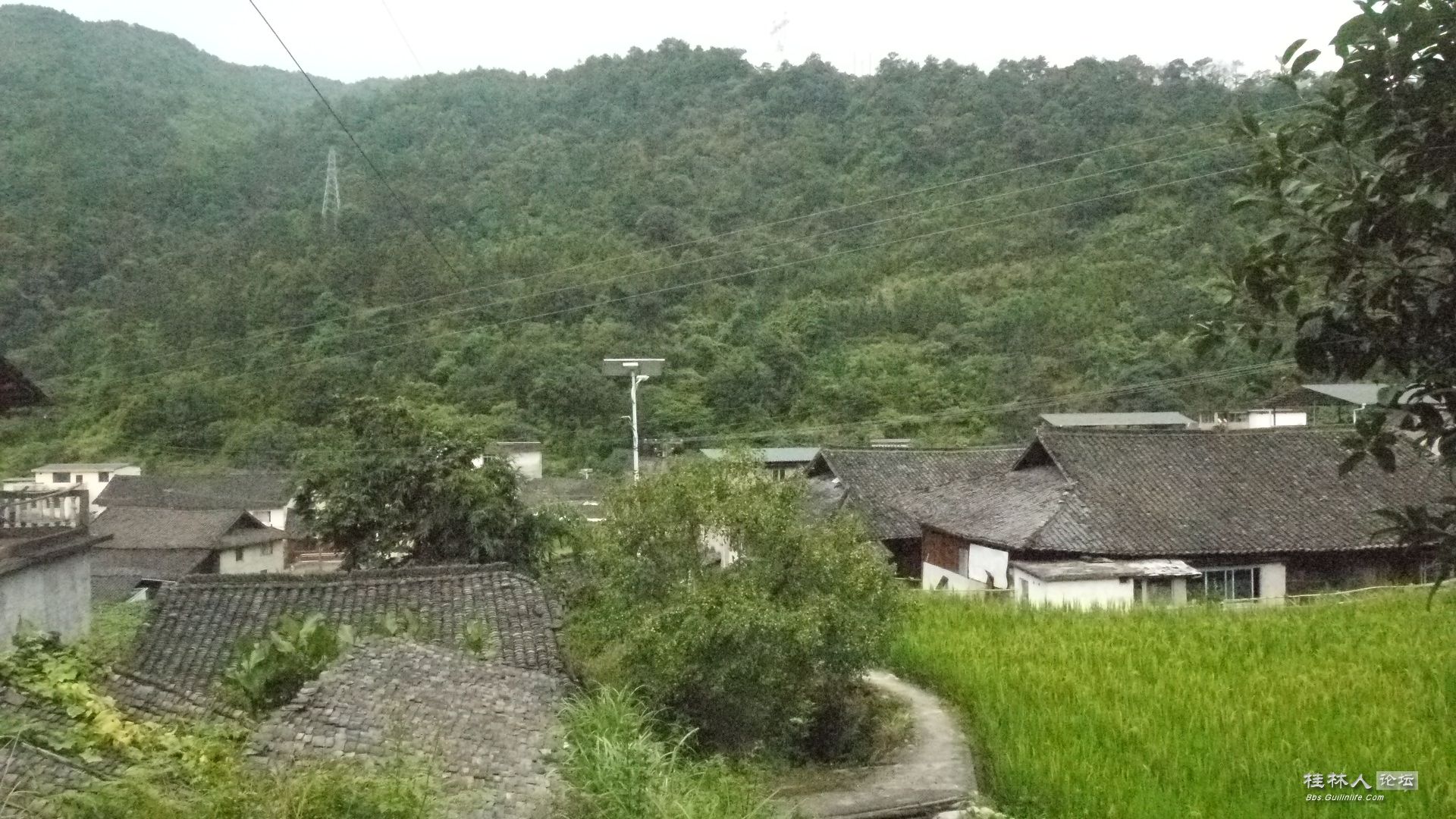 P1140368 - Ŀͼ.JPG