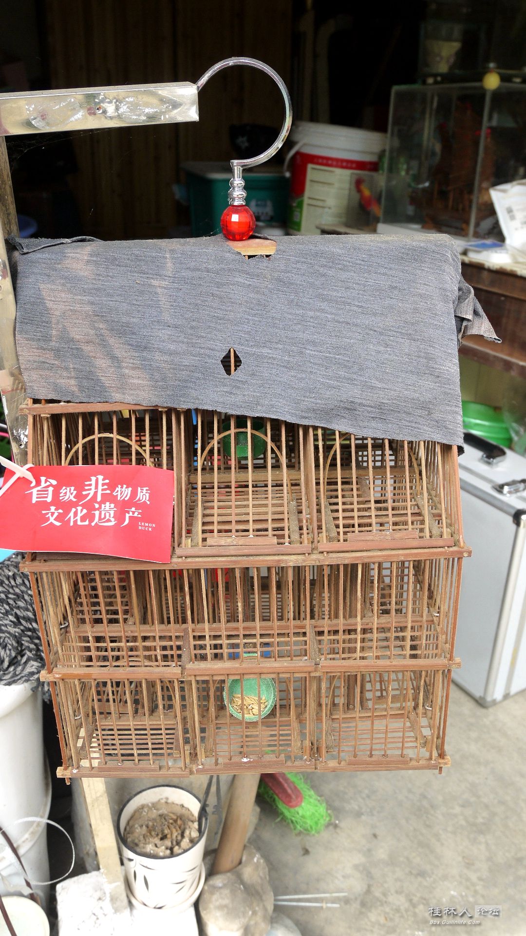 P1140282 - Ŀͼ_.jpg