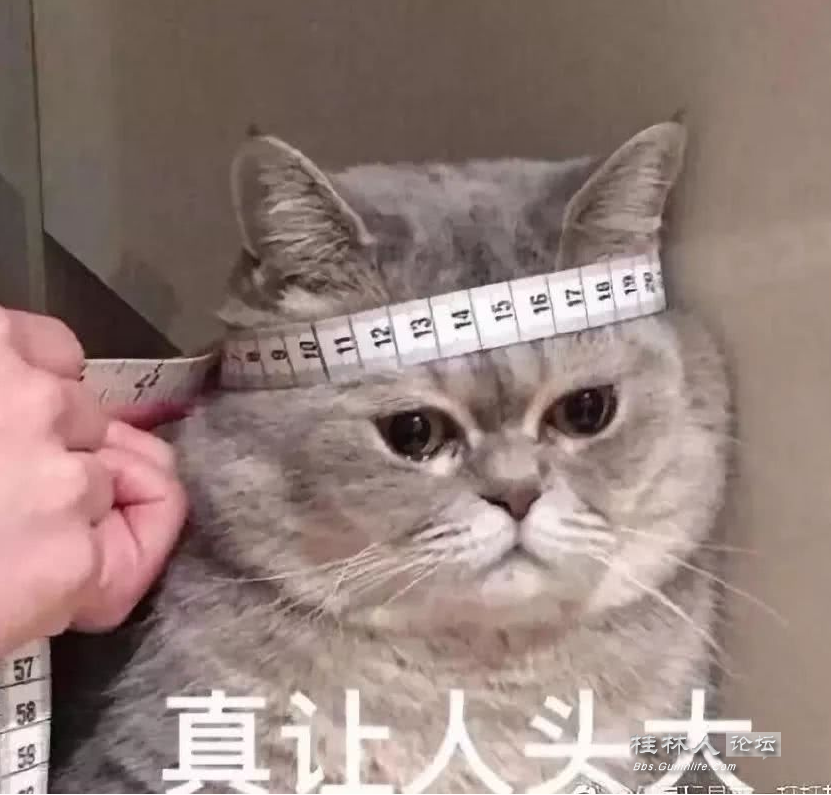 ͼ202308241655288575..png