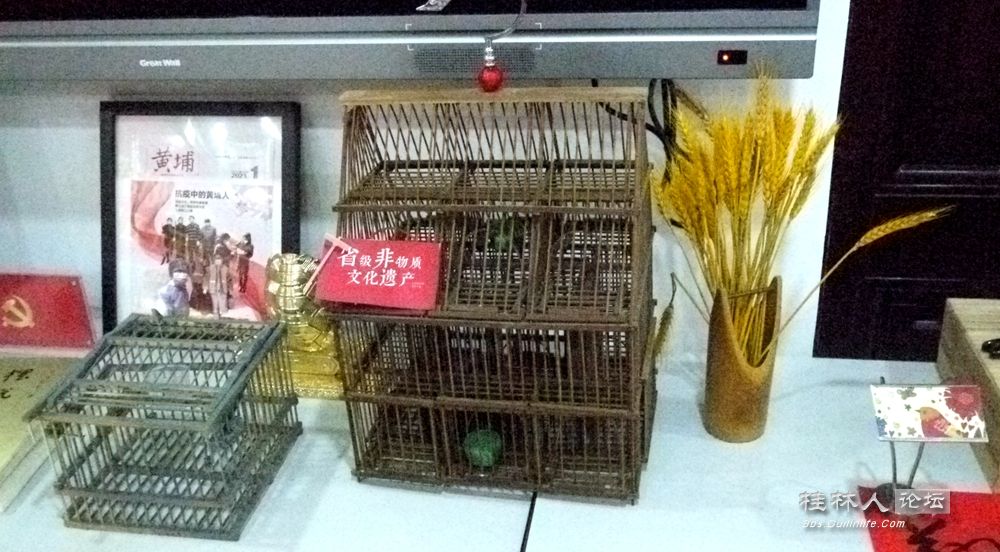 P1140414_.jpg