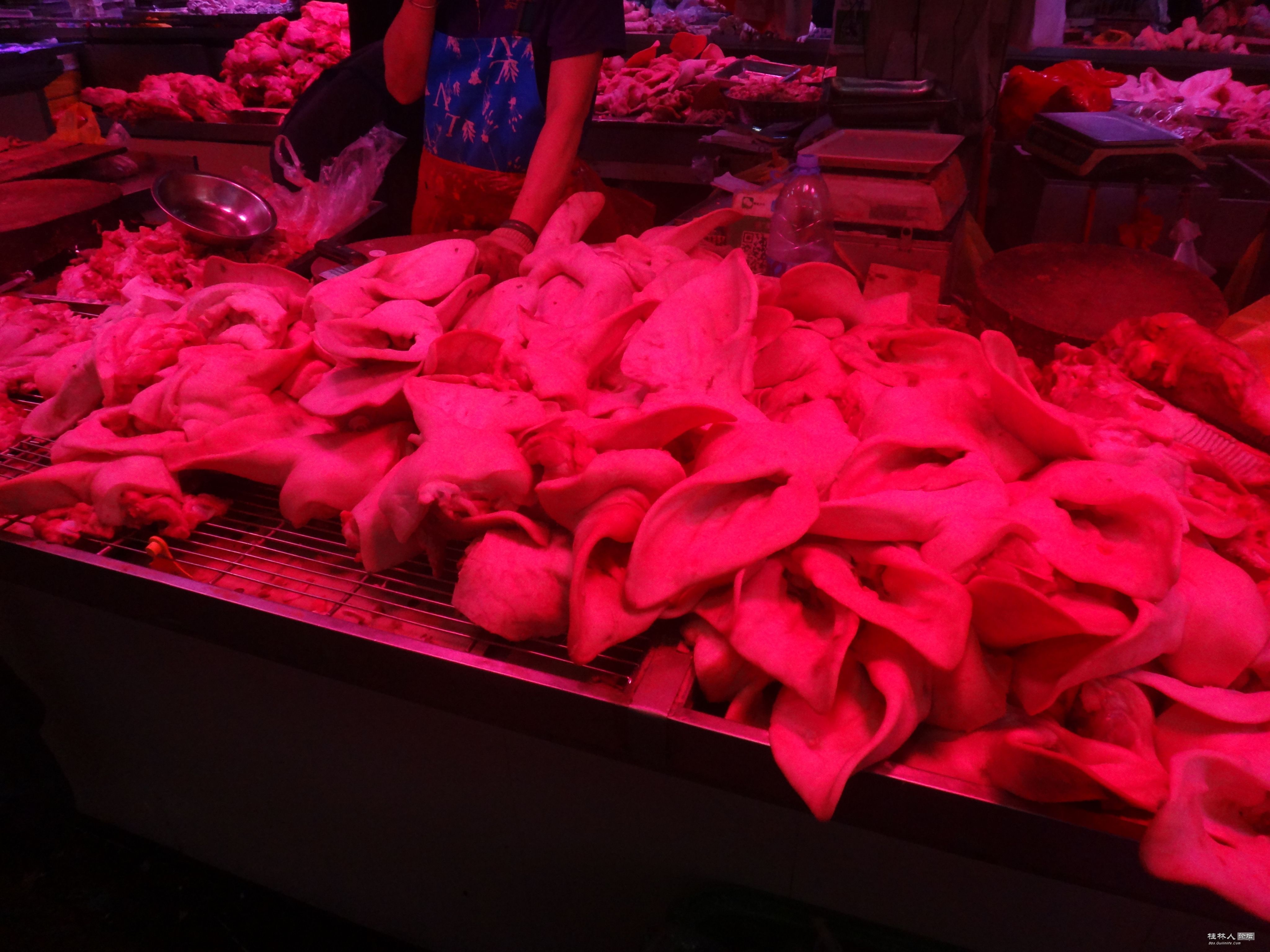 DSC05956.JPG
