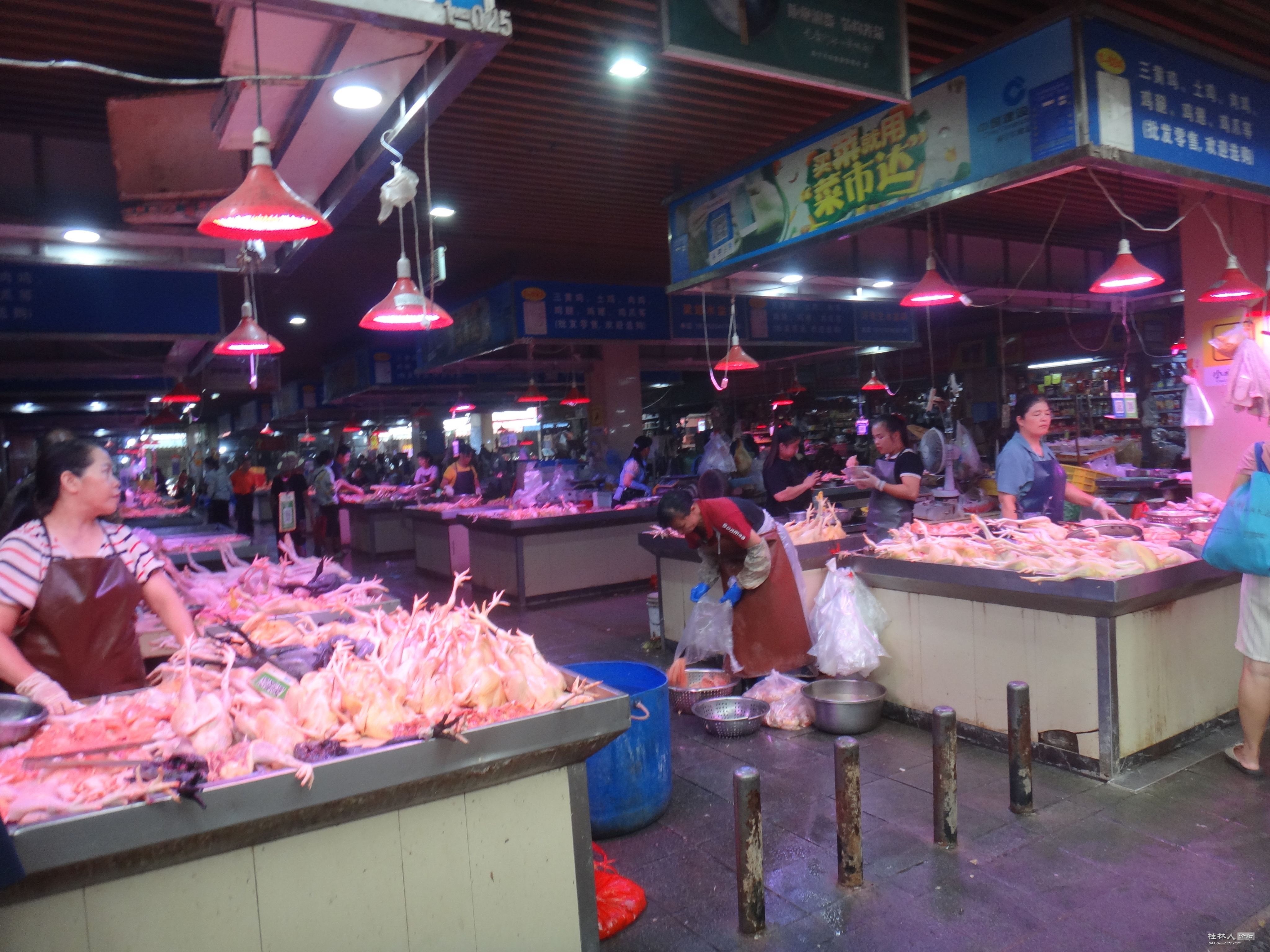 DSC05962.JPG