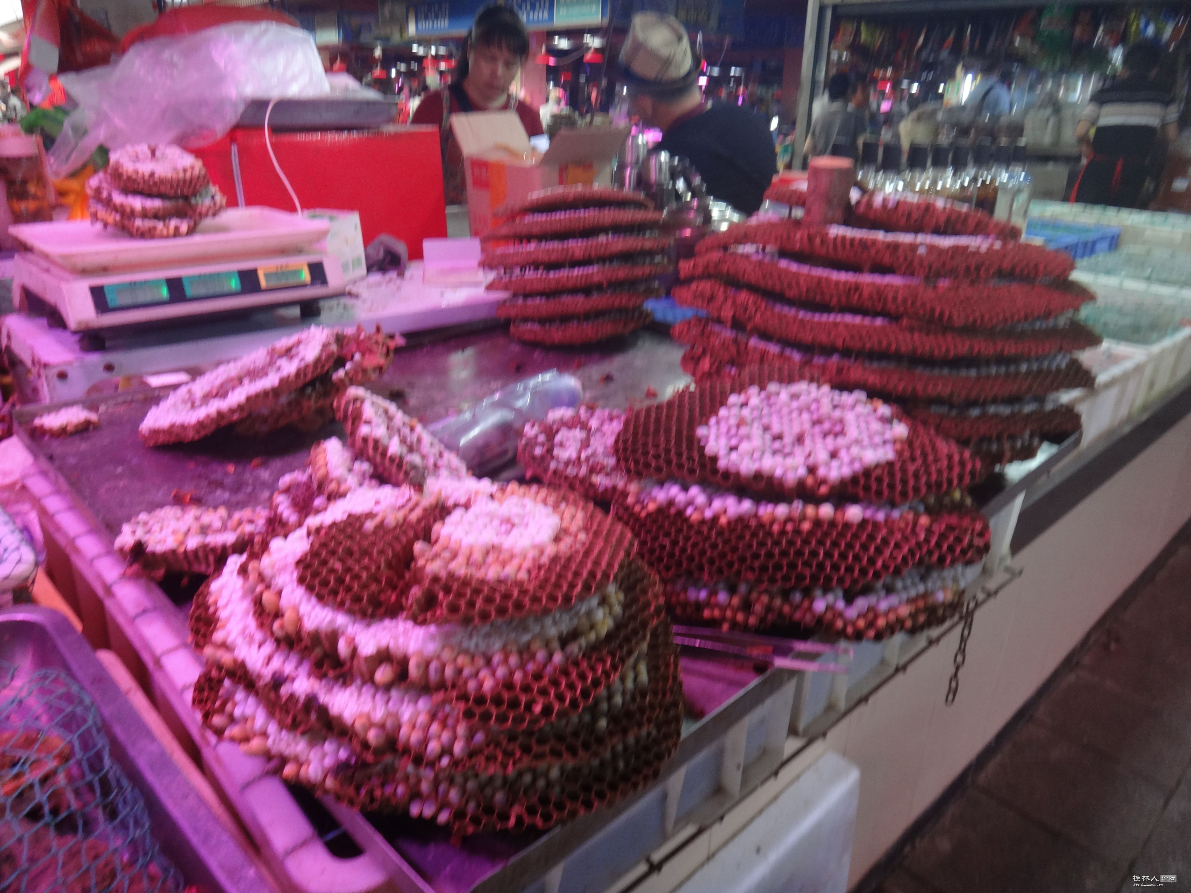 DSC05966.JPG