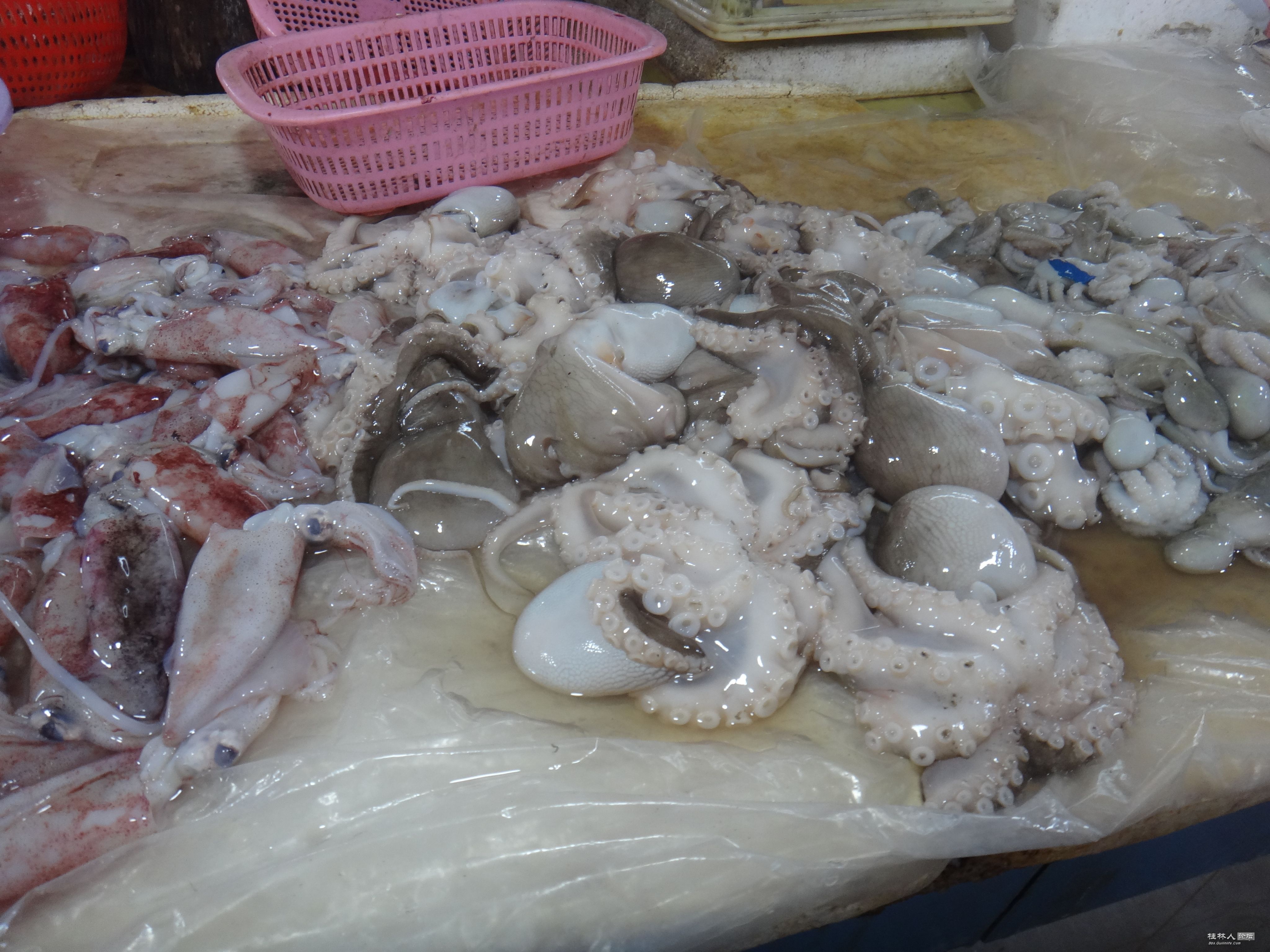 DSC05800.JPG