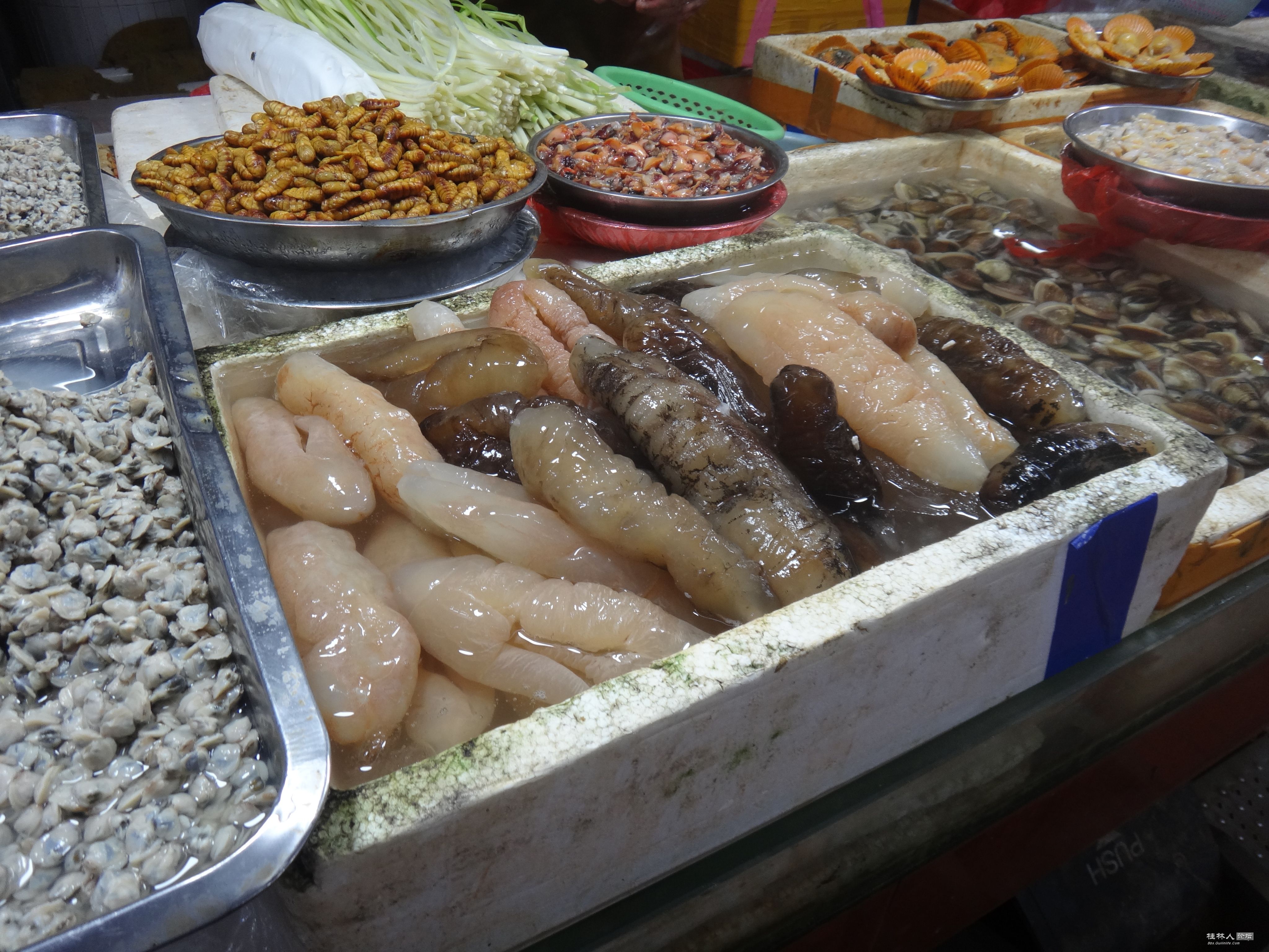 DSC05856.JPG