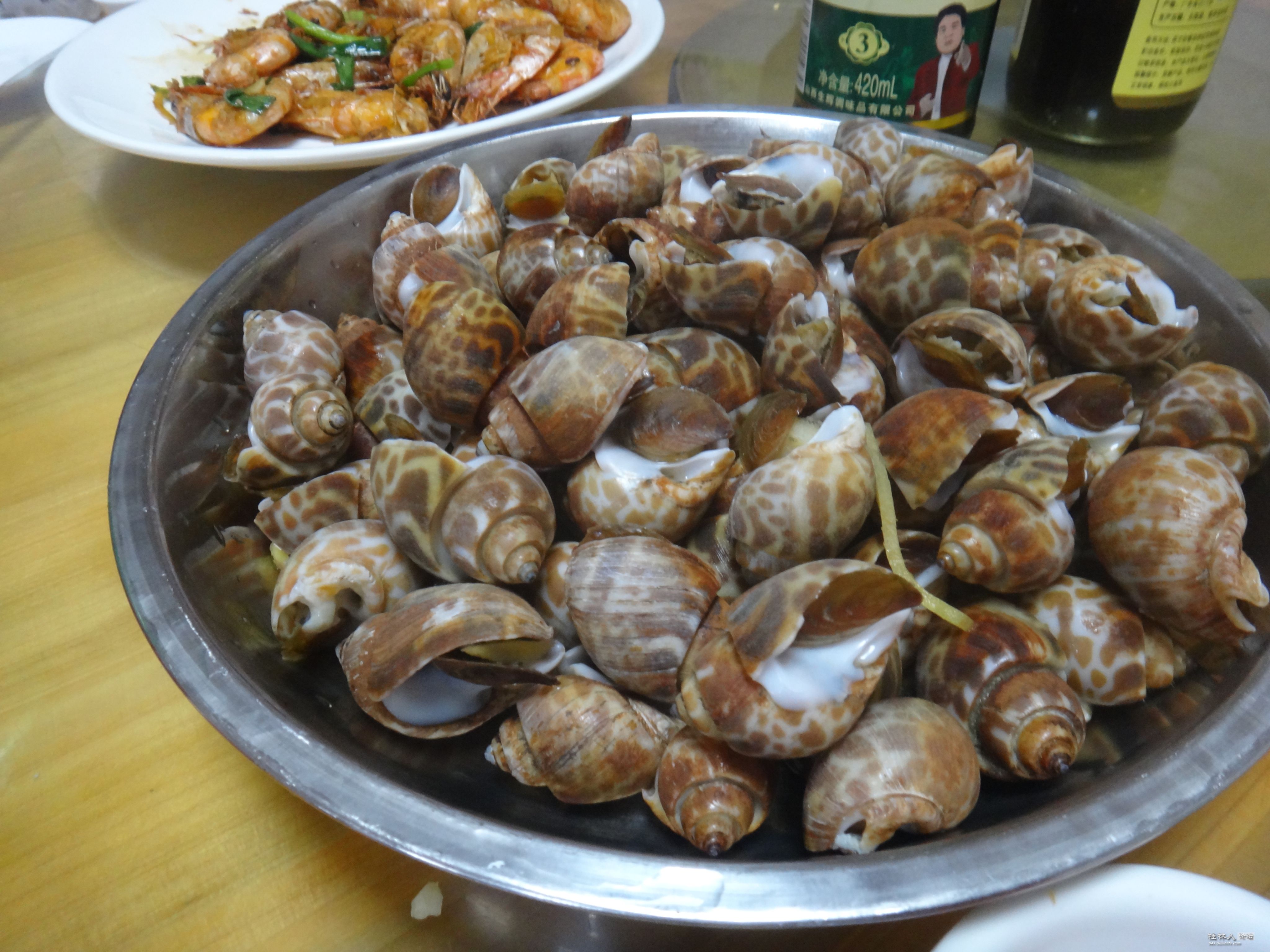 DSC05813.JPG