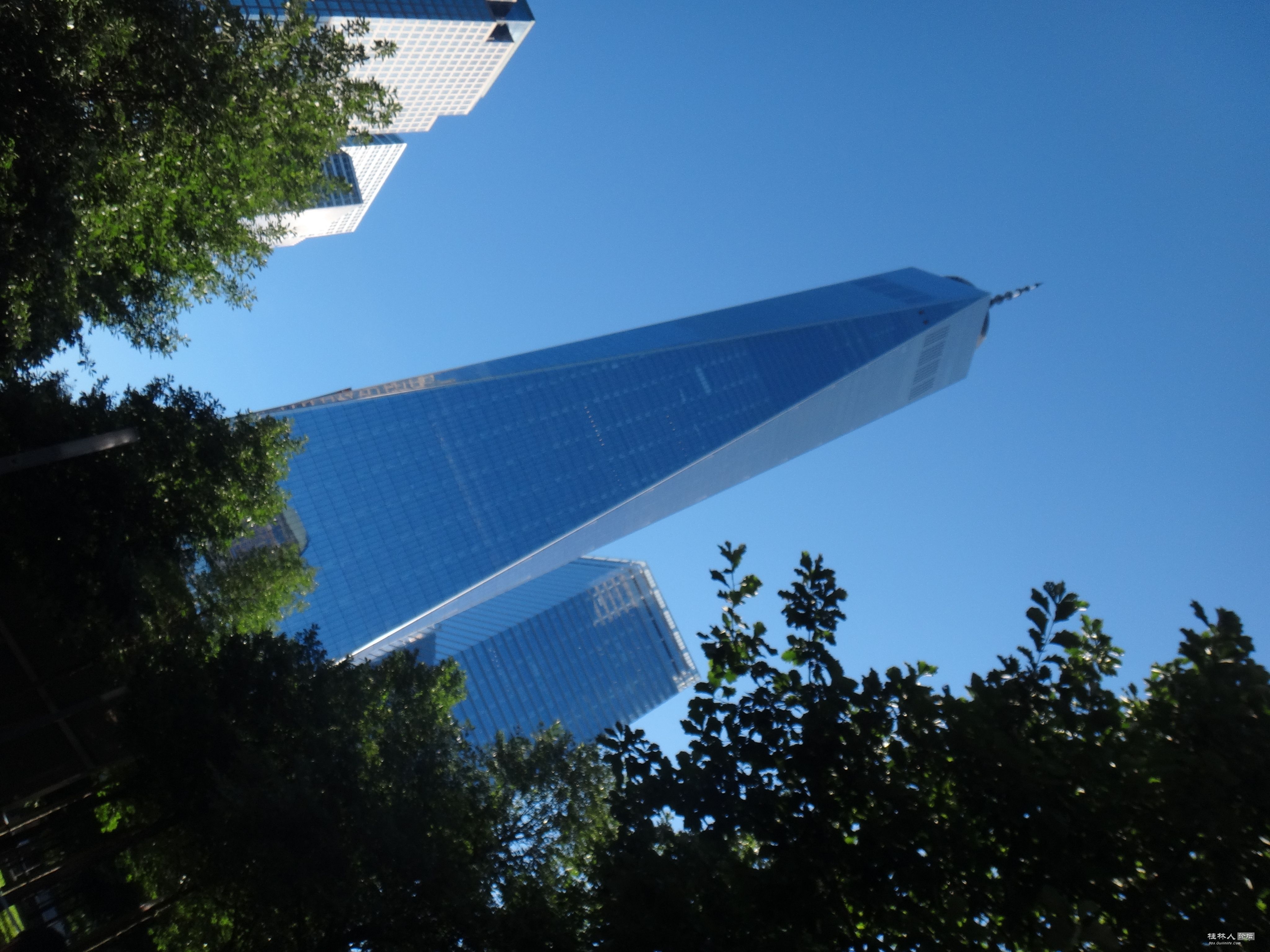 DSC02969.JPG