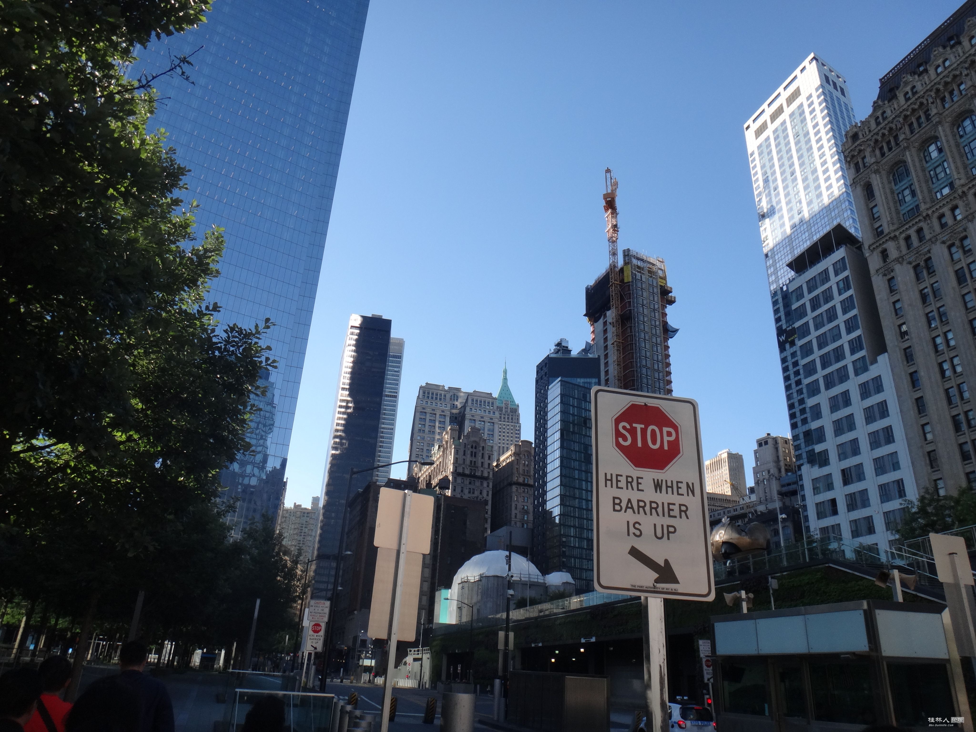 DSC02970.JPG