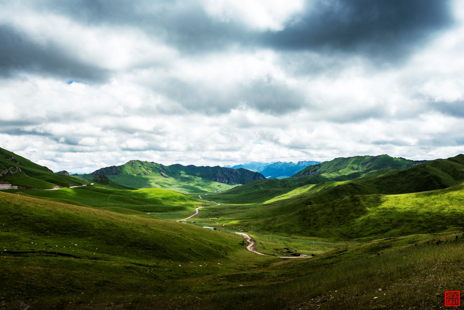 _DSC0428.jpg