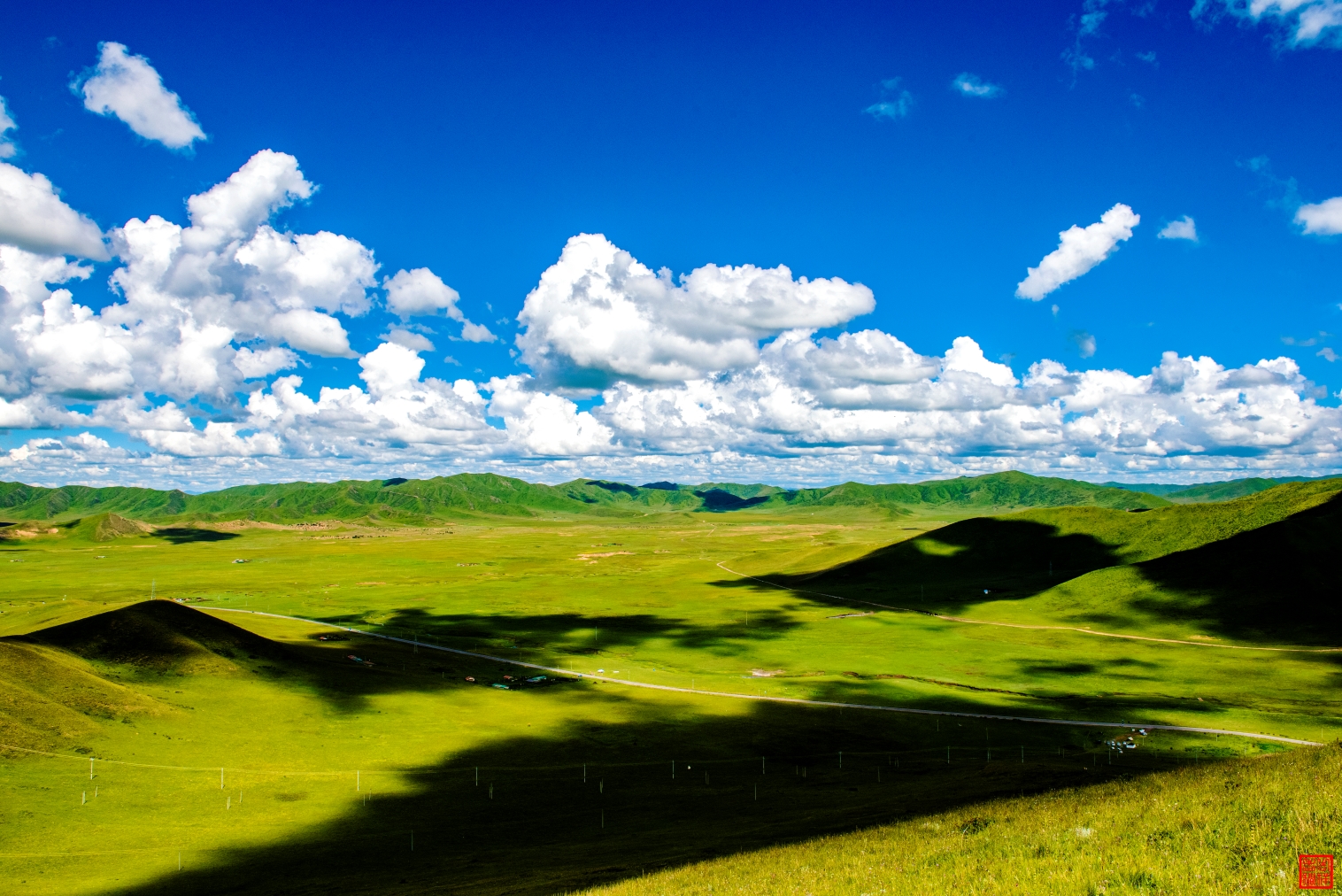 _DSC0501.jpg