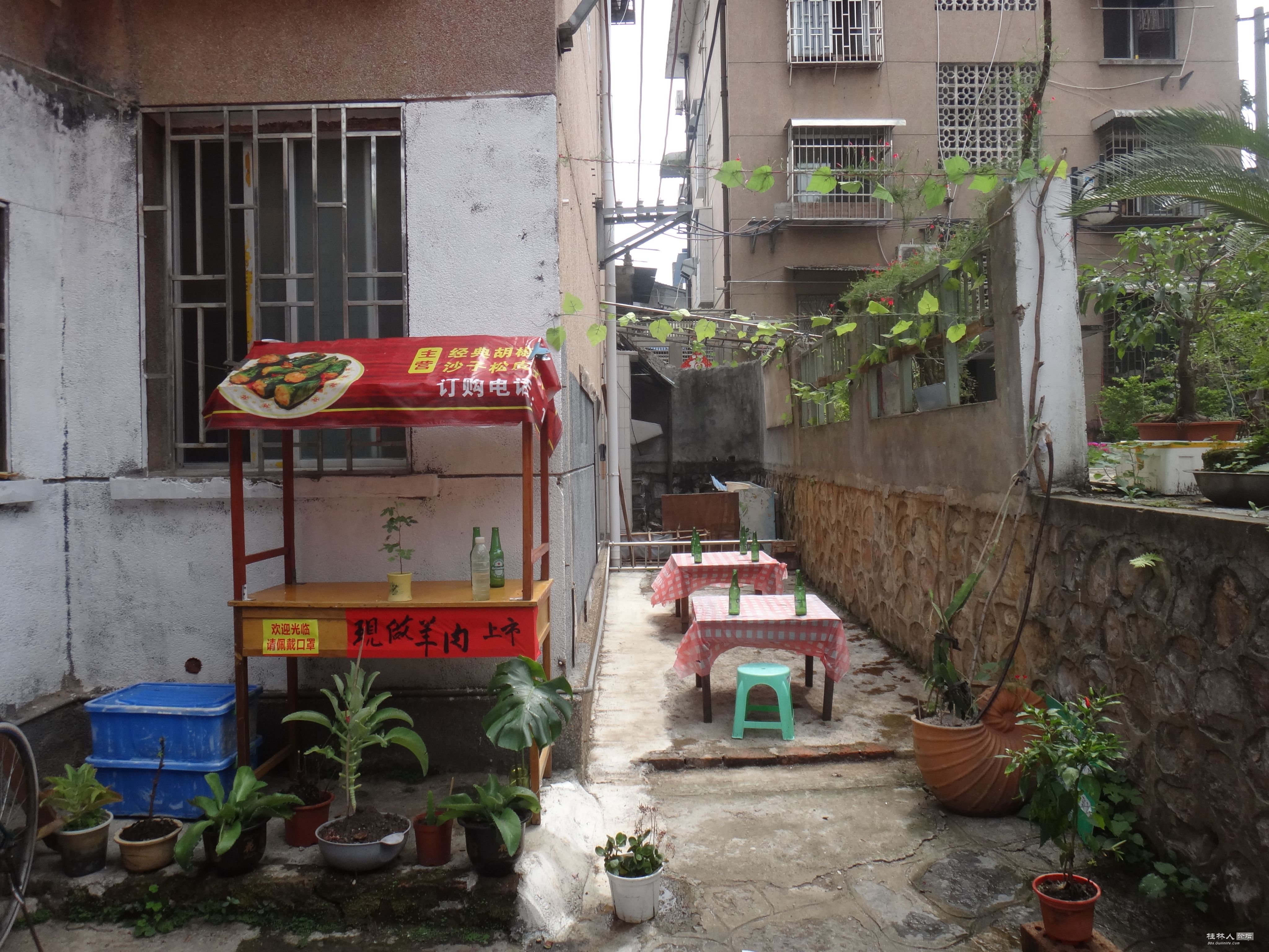 DSC06204.JPG