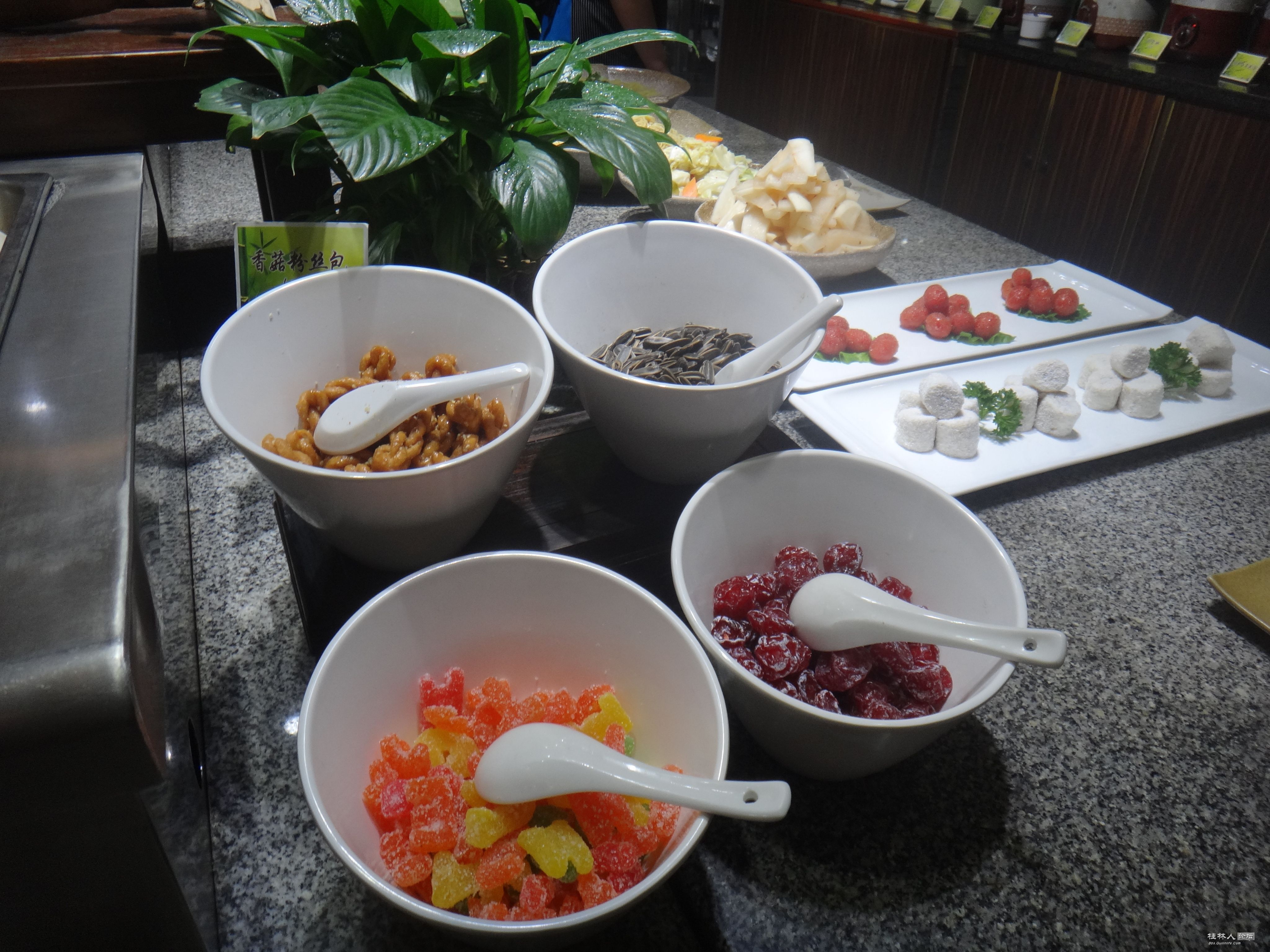 DSC06213.JPG