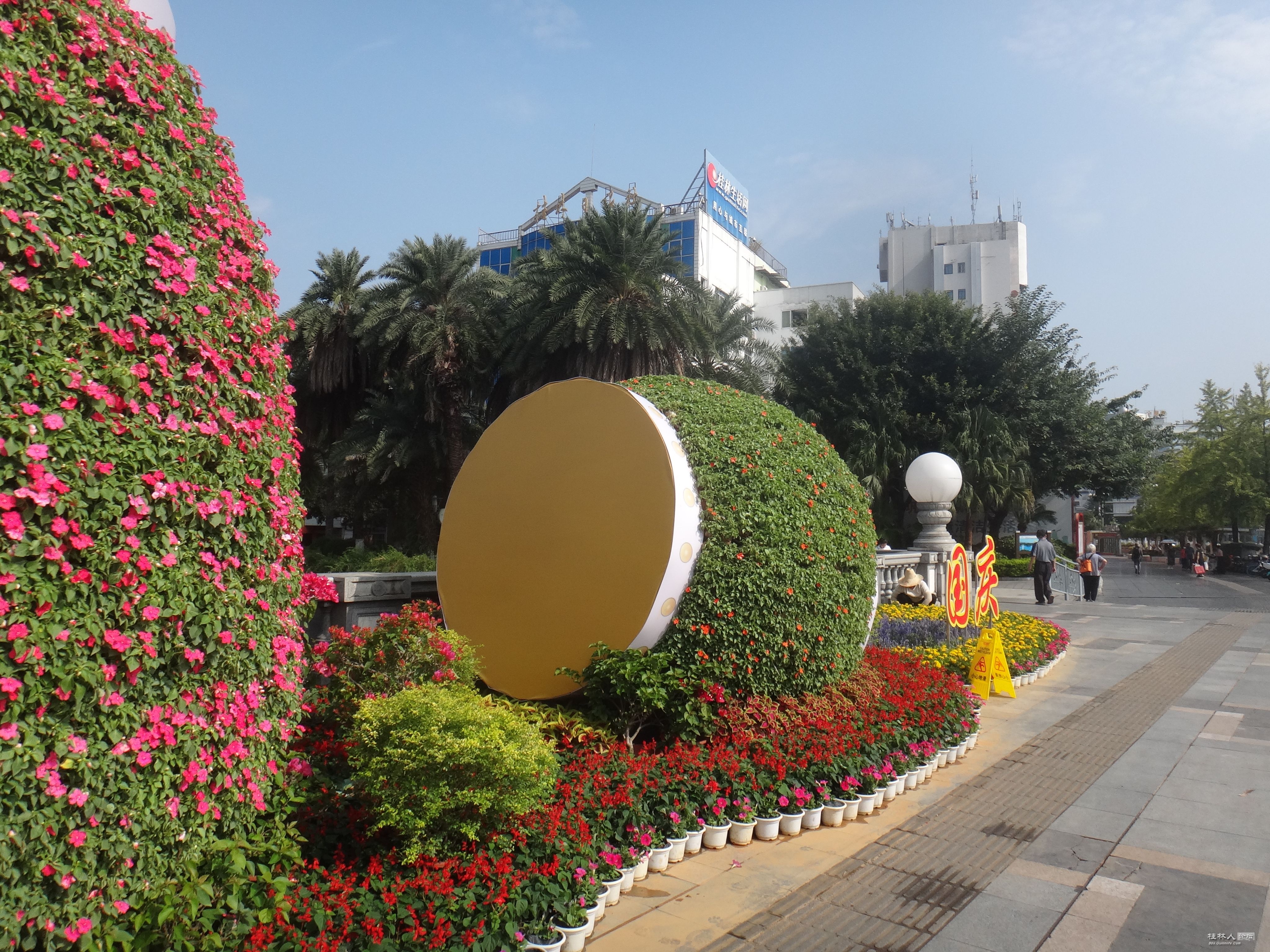 DSC06229.JPG