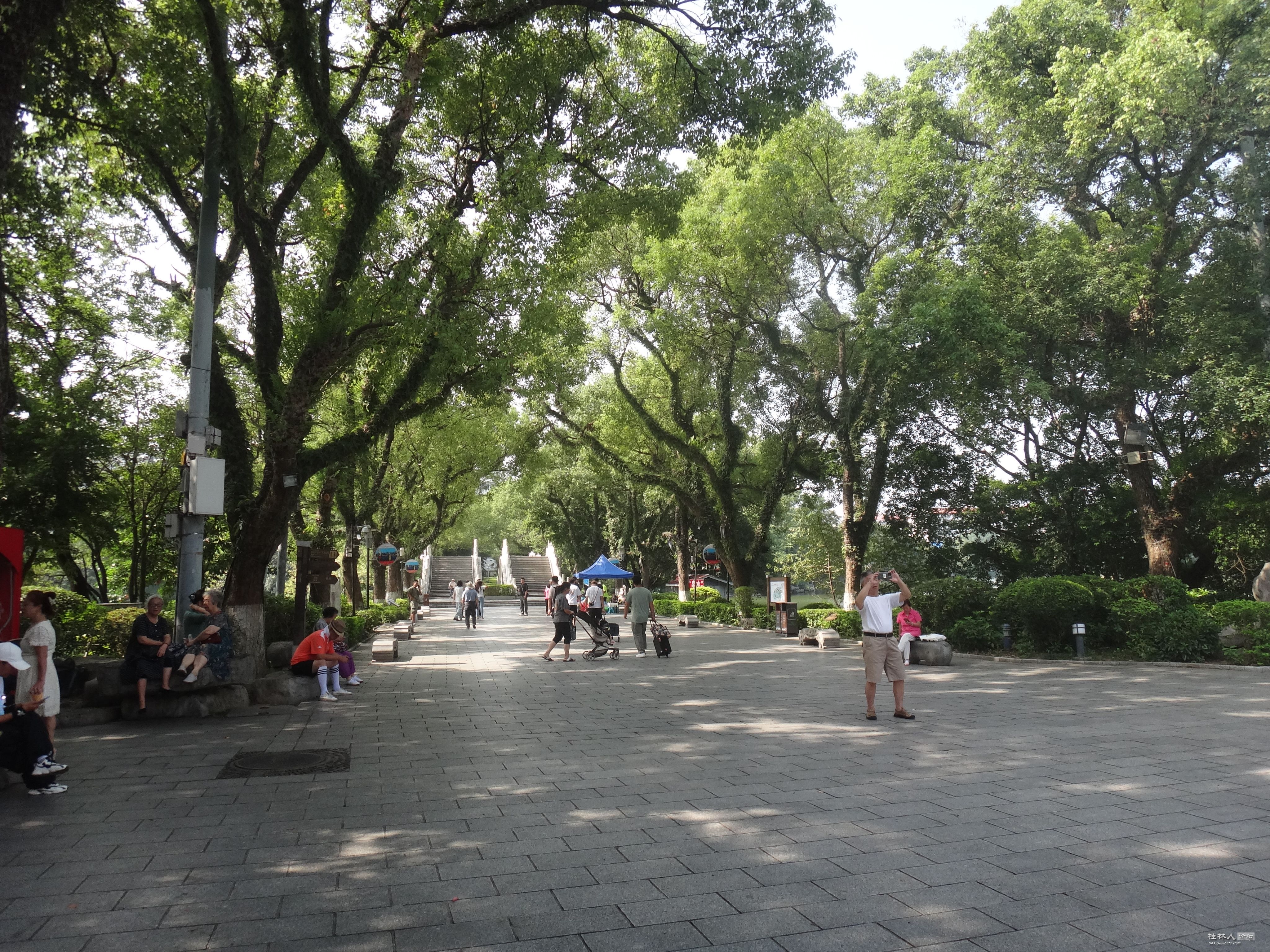 DSC06235.JPG