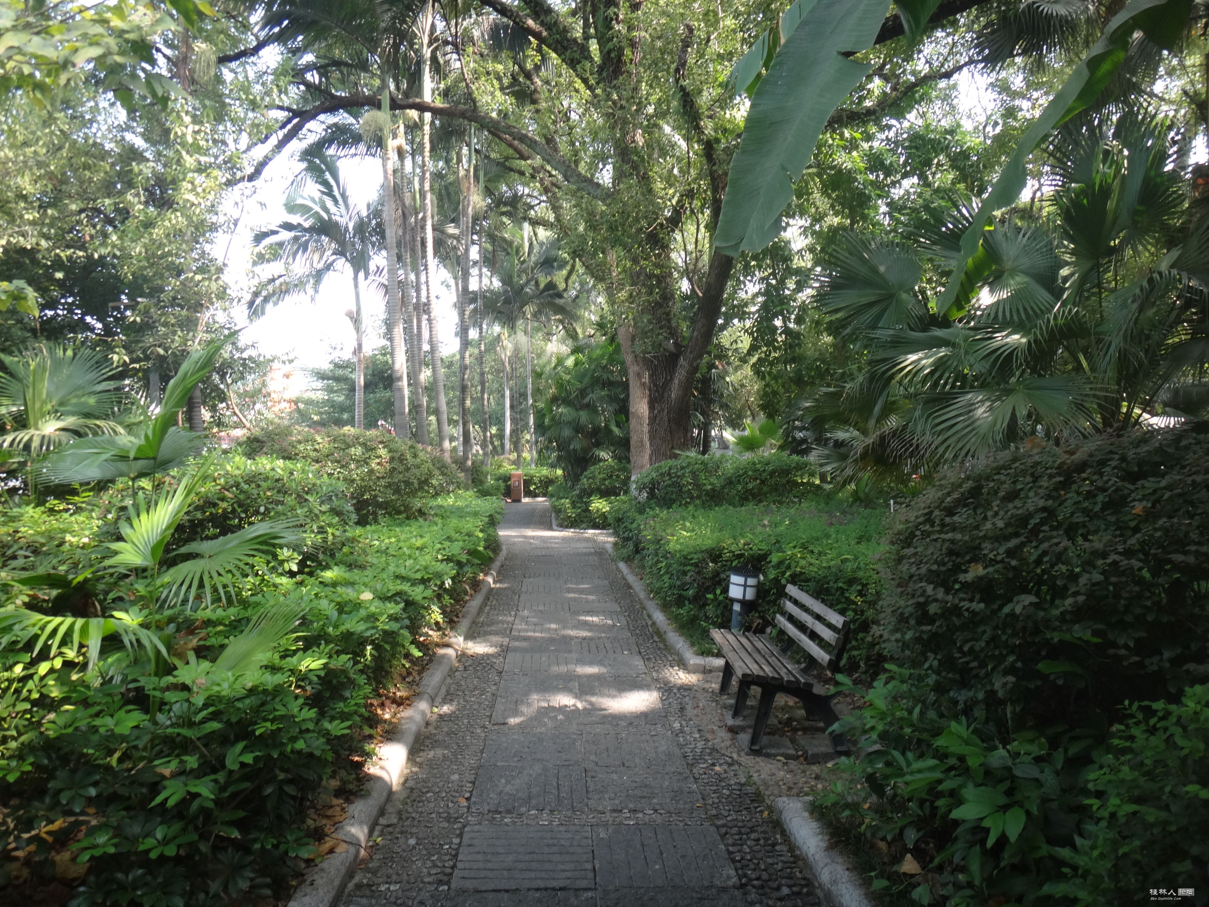 DSC06242.JPG