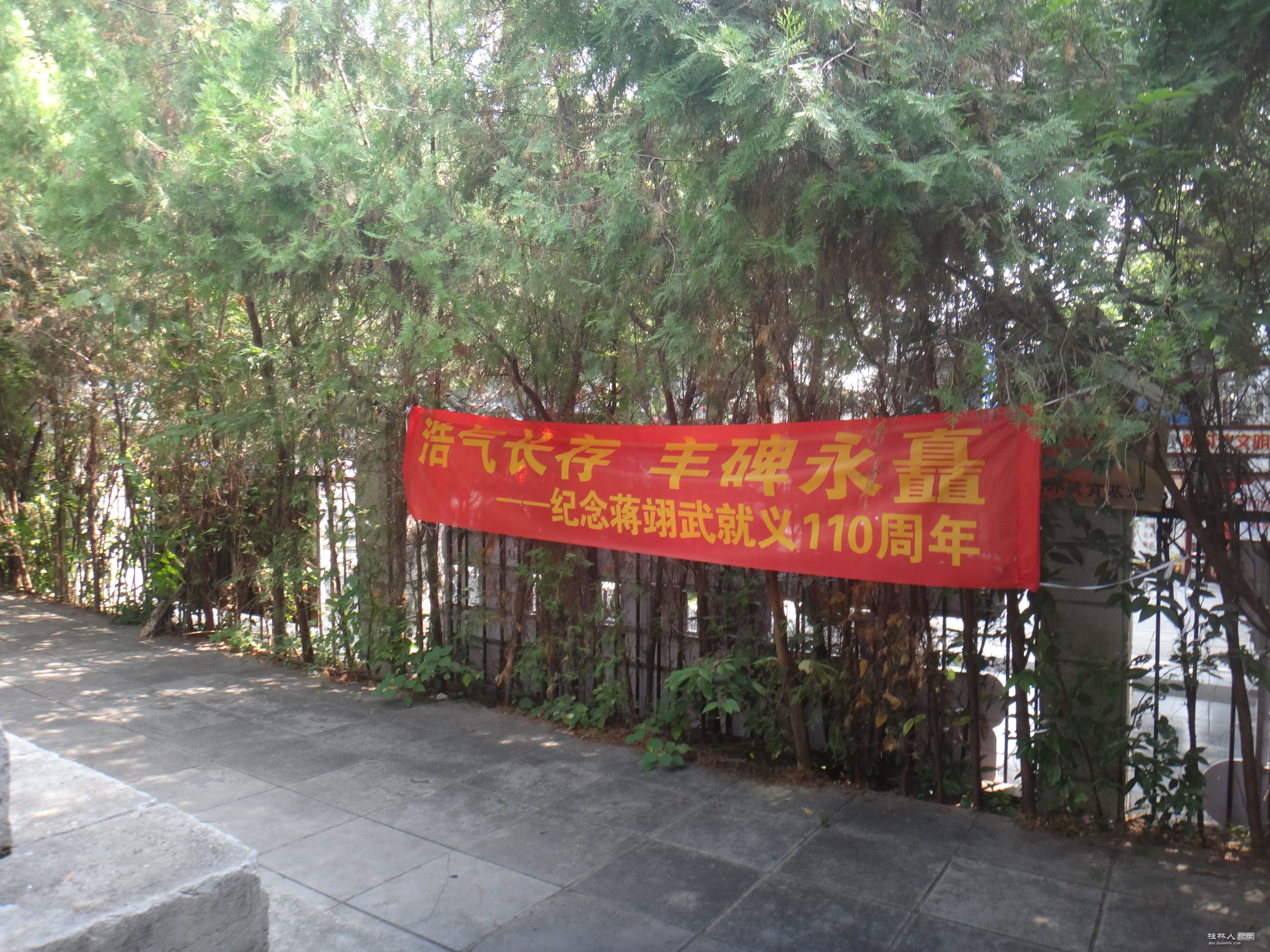 DSC06250.JPG