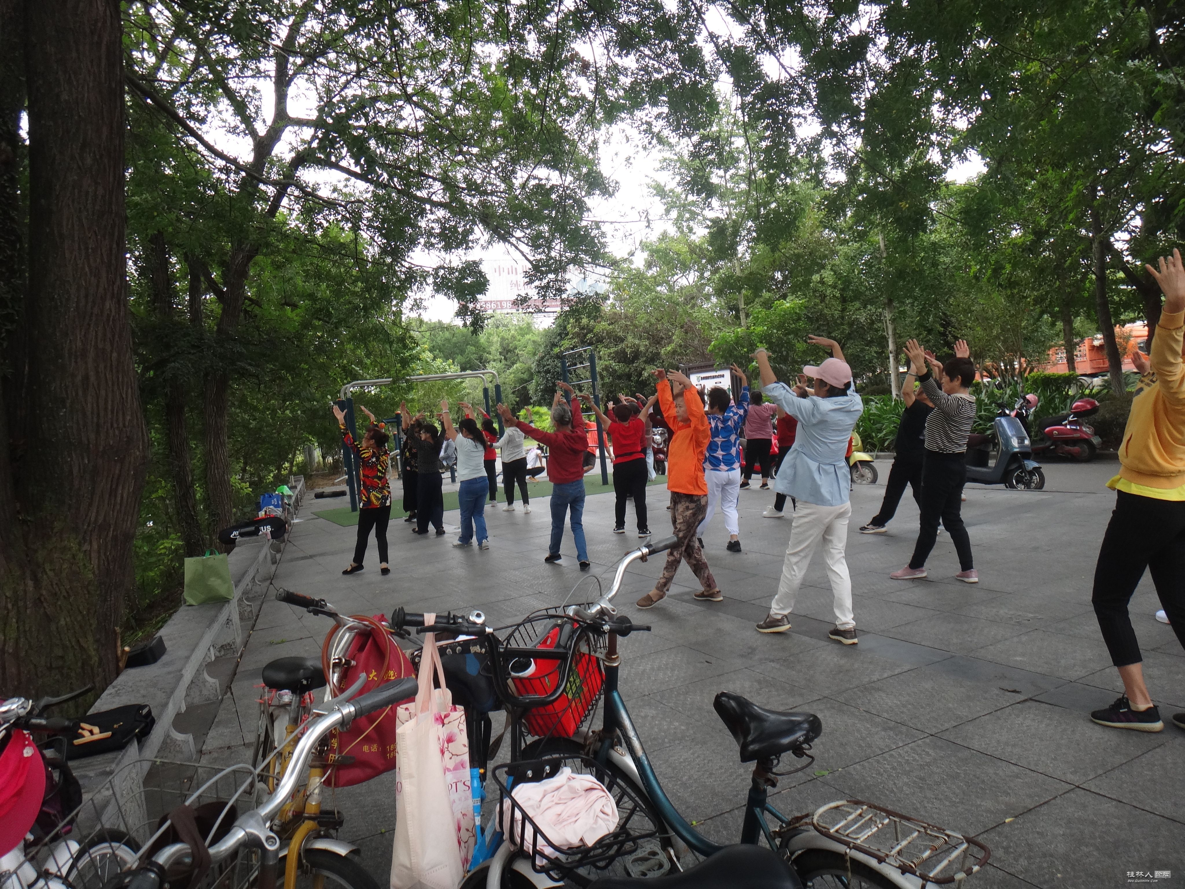 DSC06369.JPG