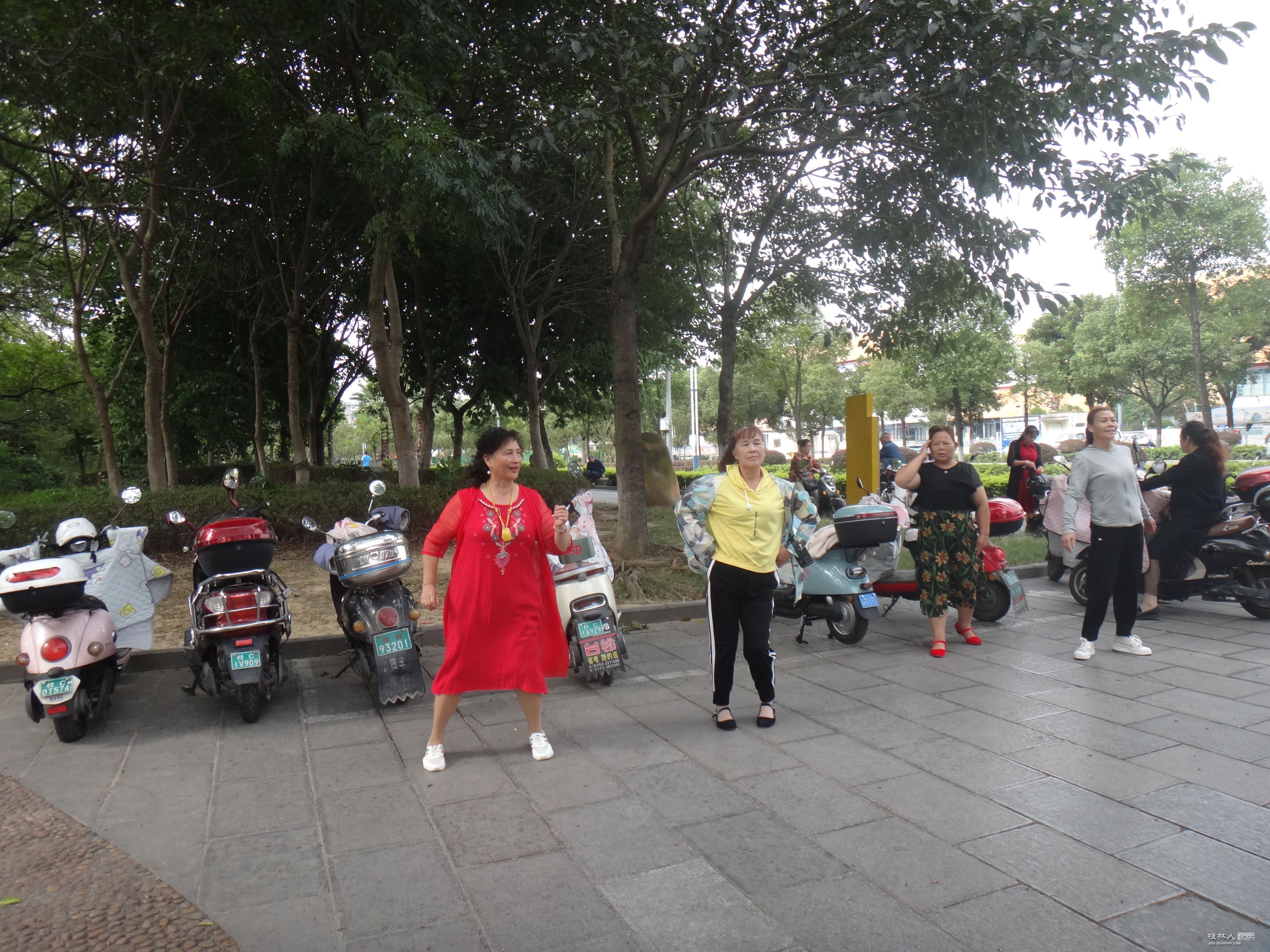 DSC06377.JPG