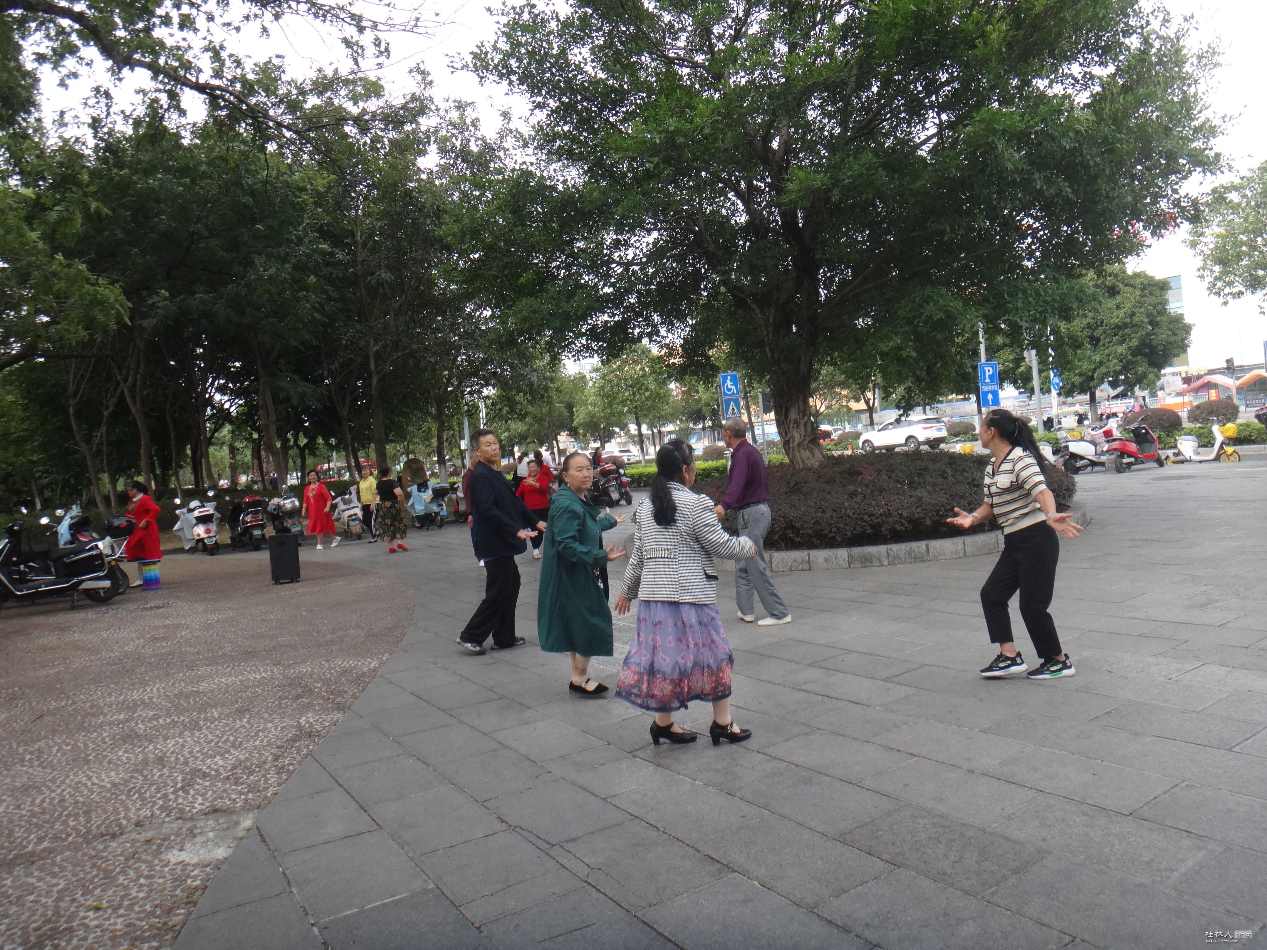 DSC06378.JPG