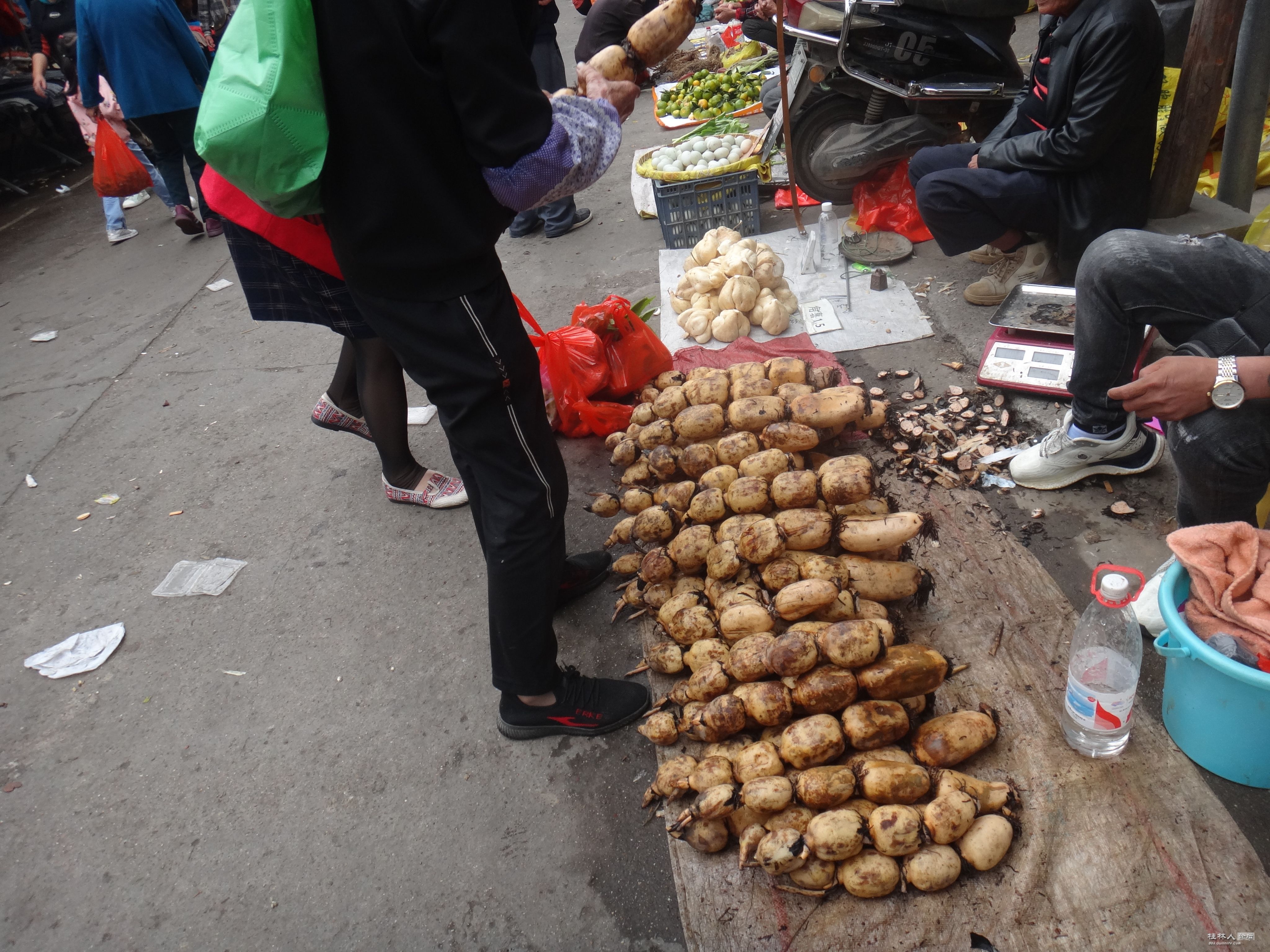 DSC06508.JPG