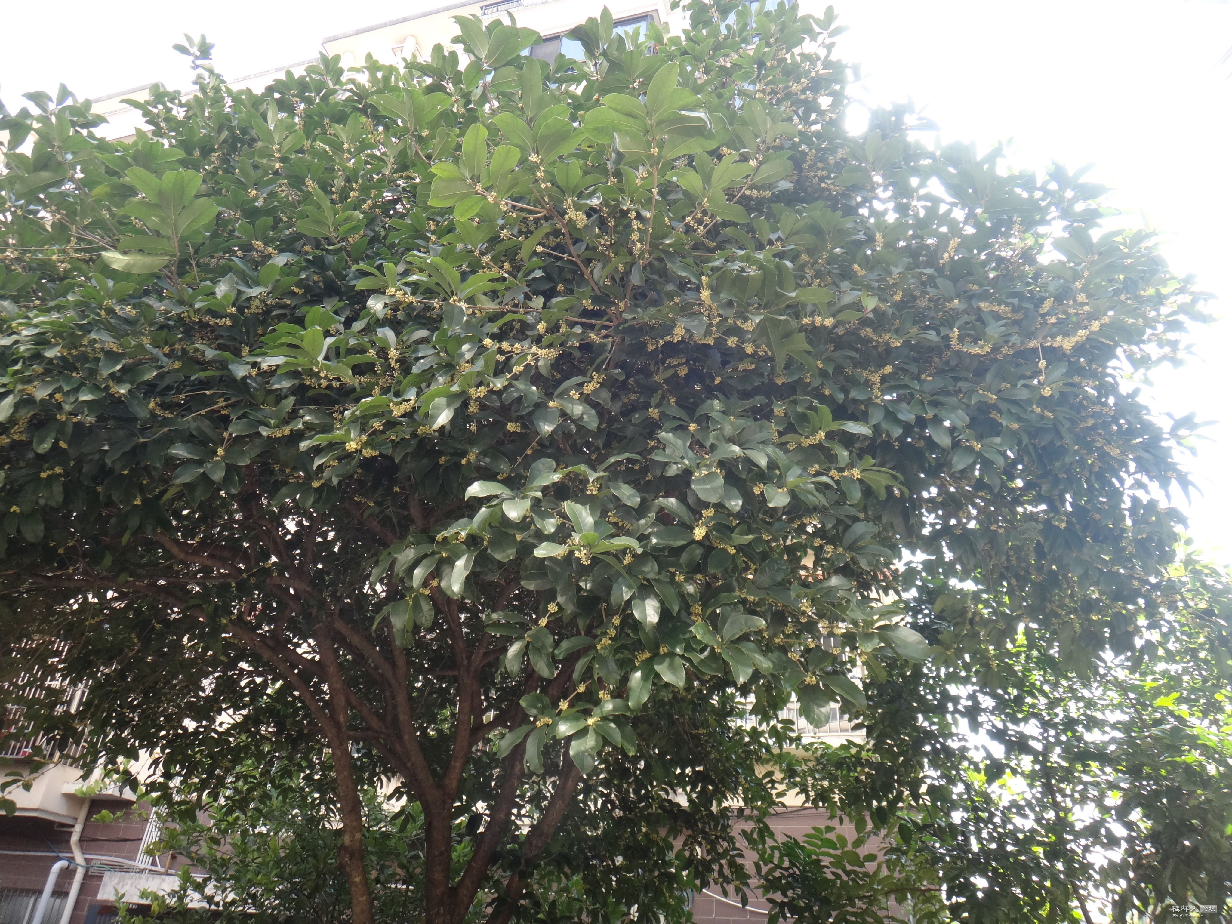 DSC06536.JPG