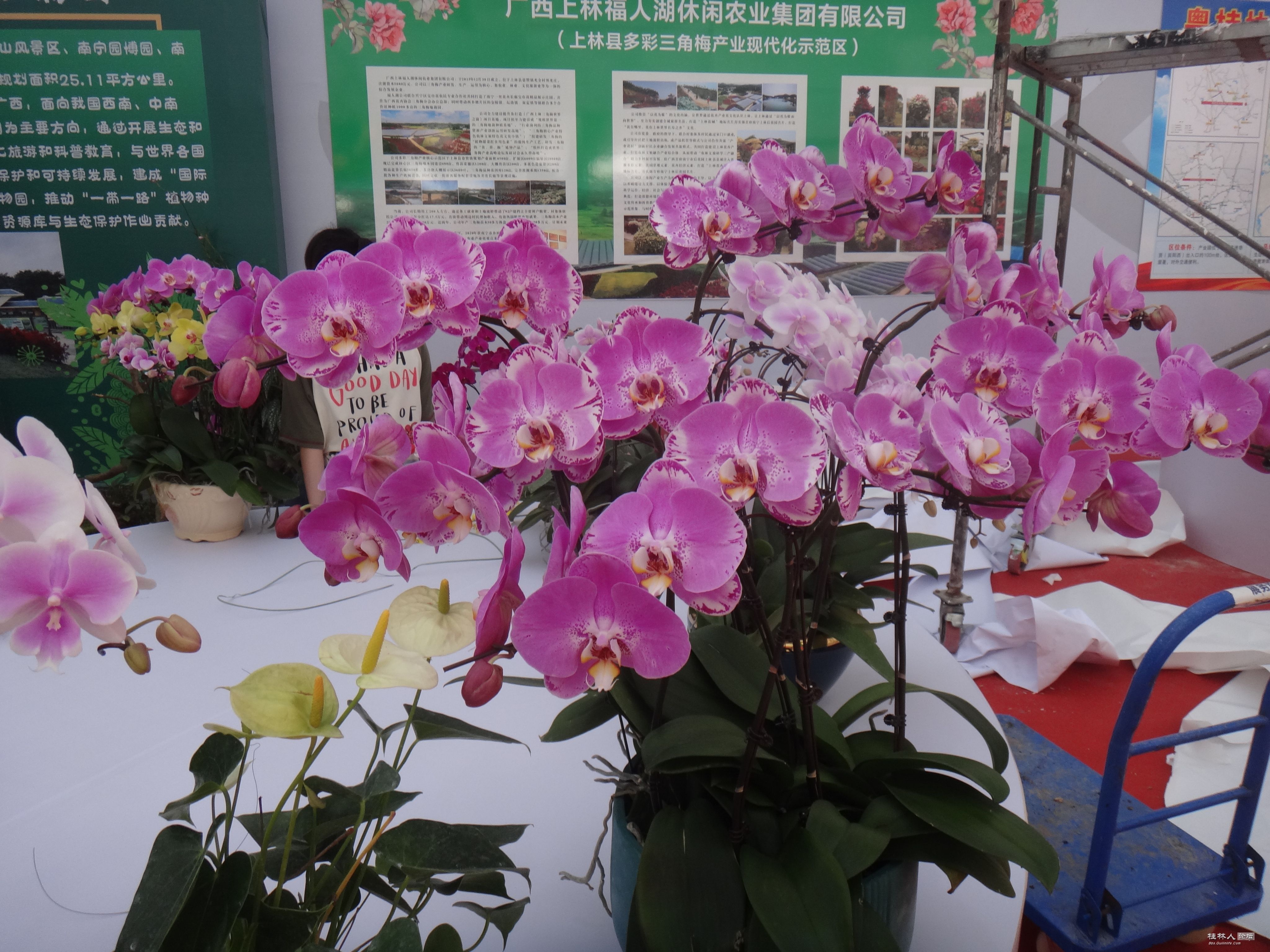 DSC06580.JPG