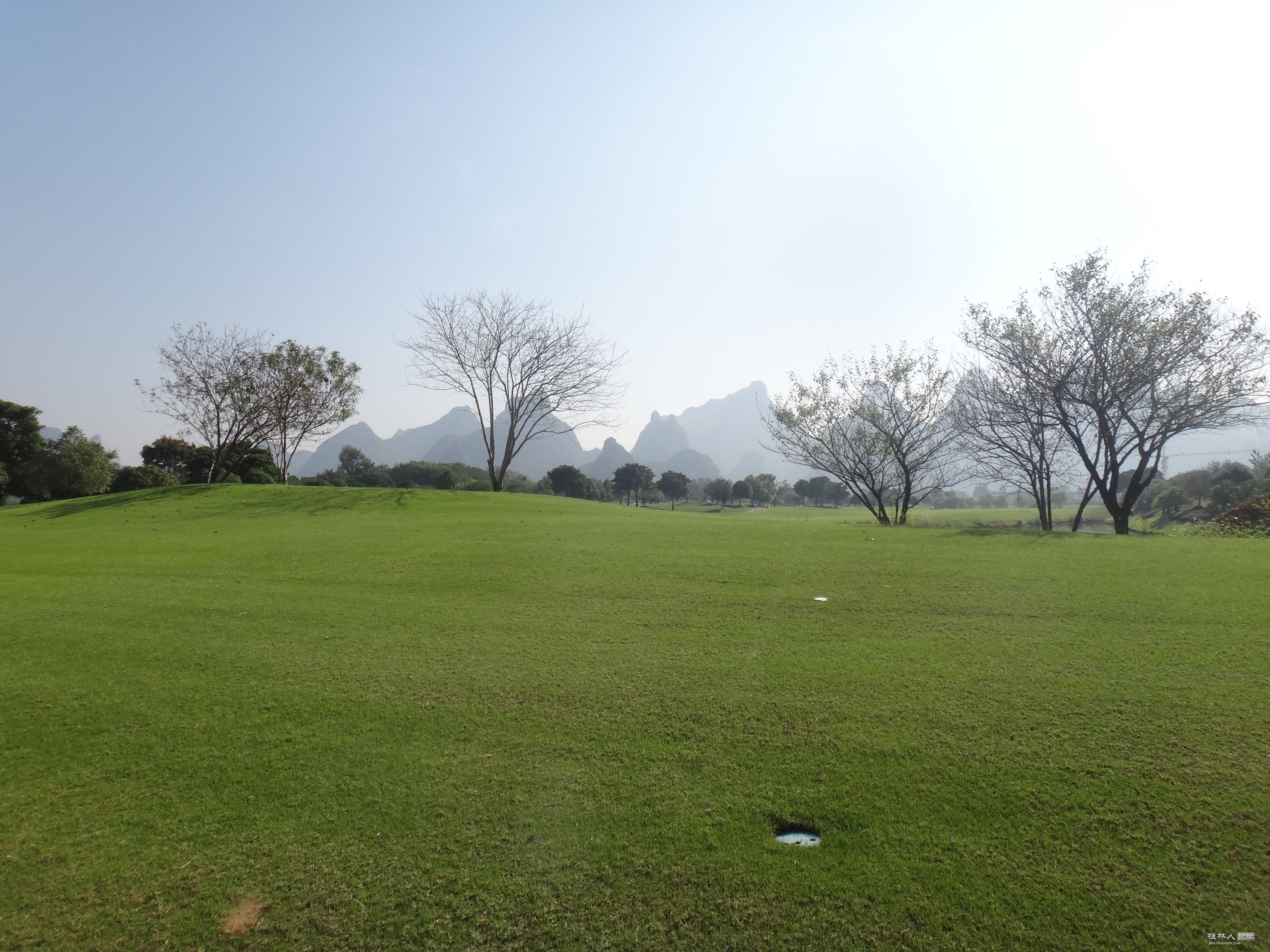 DSC06795.JPG