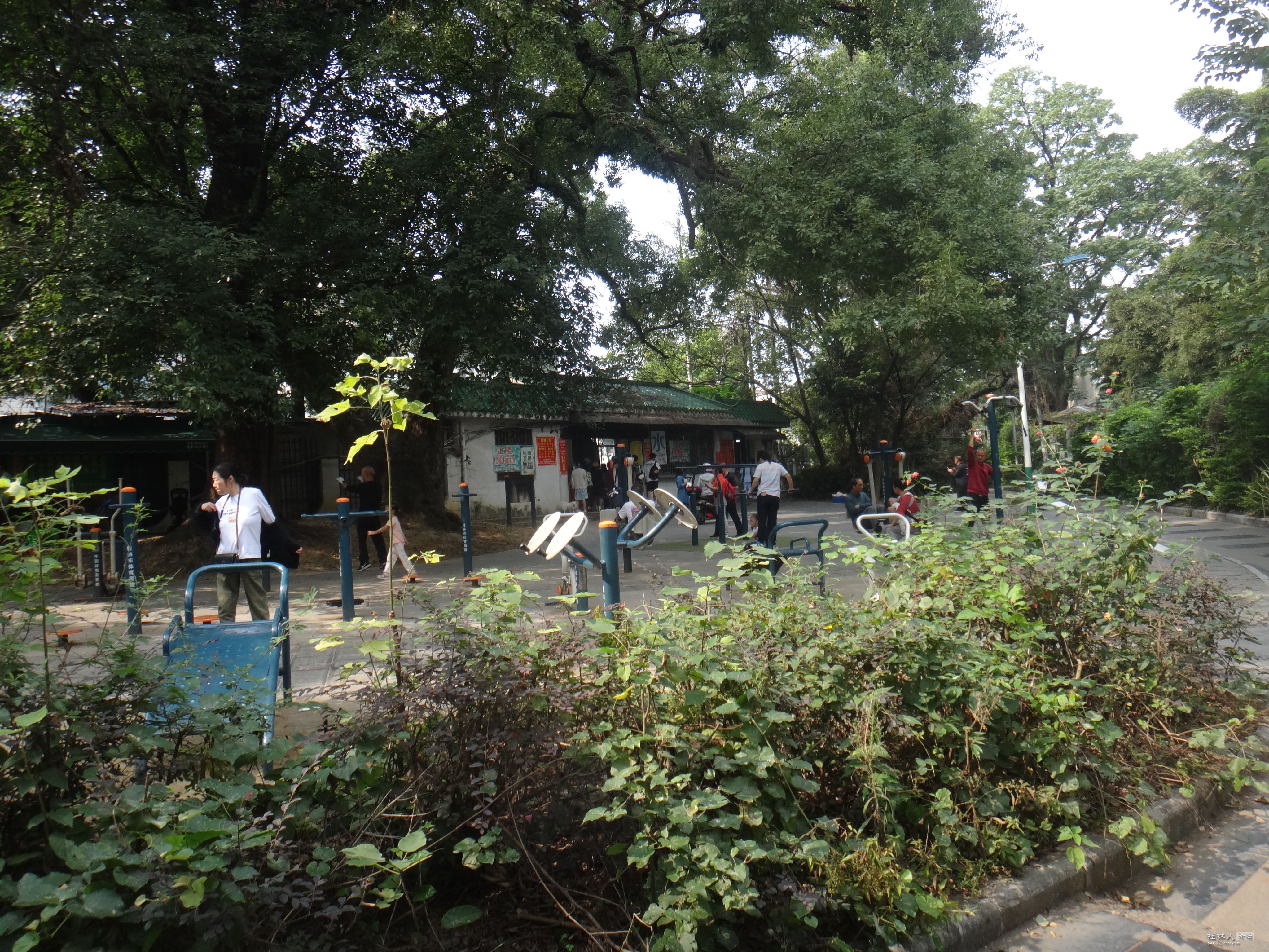 DSC06840.JPG
