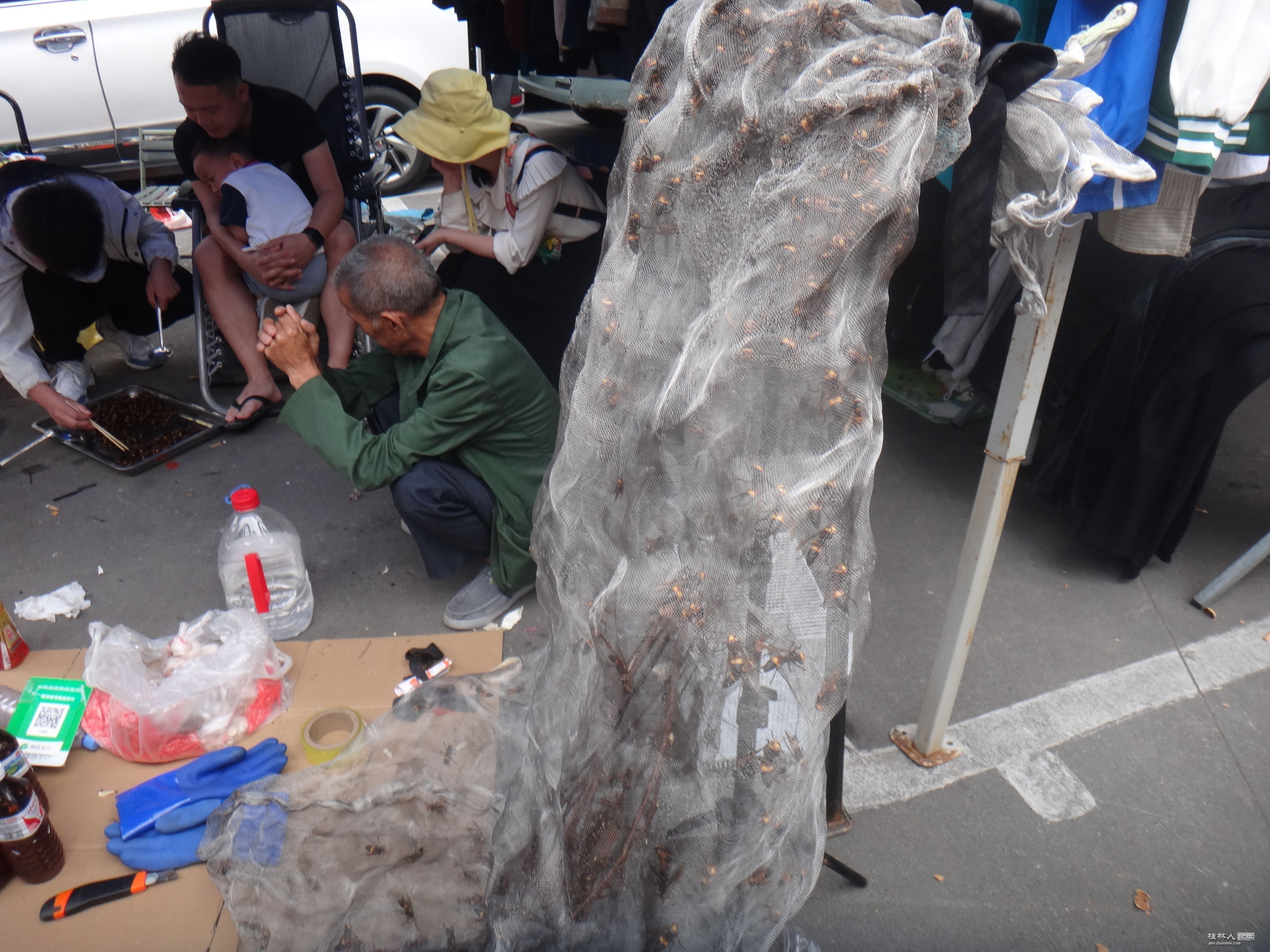 DSC06880.JPG