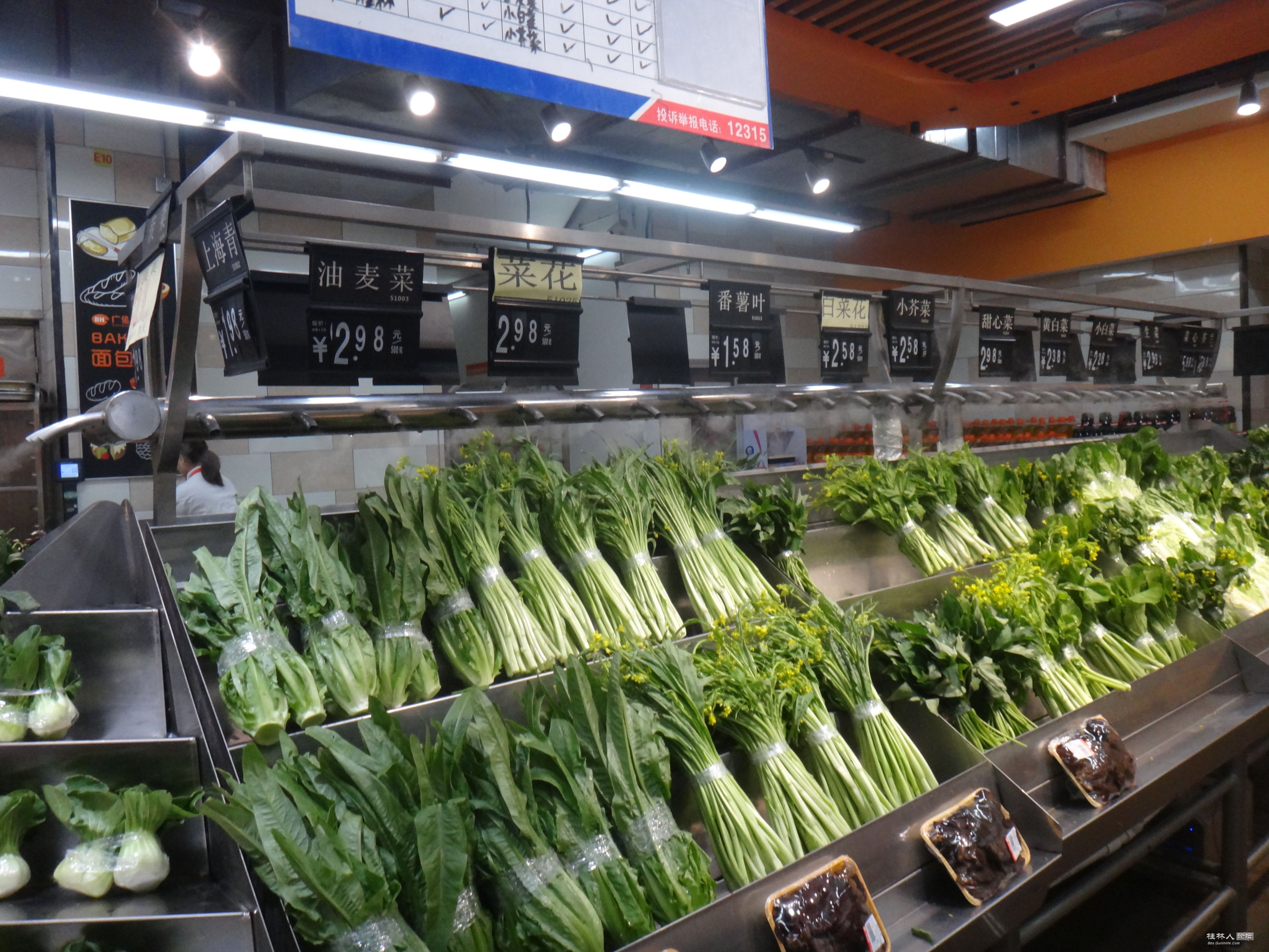 DSC06895.JPG