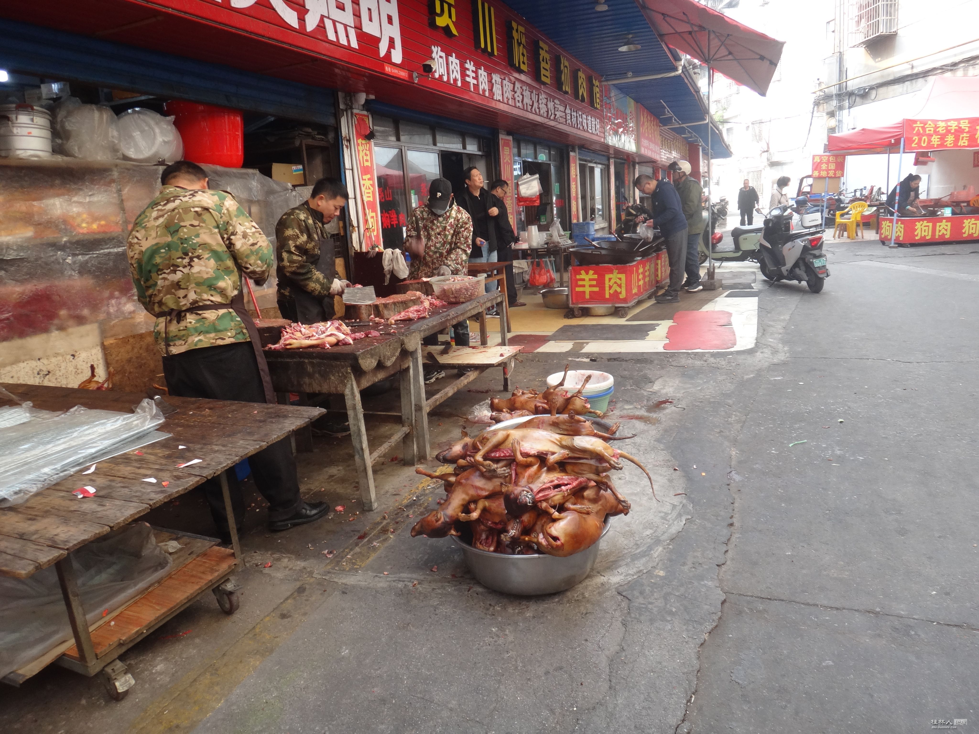 DSC07098.JPG