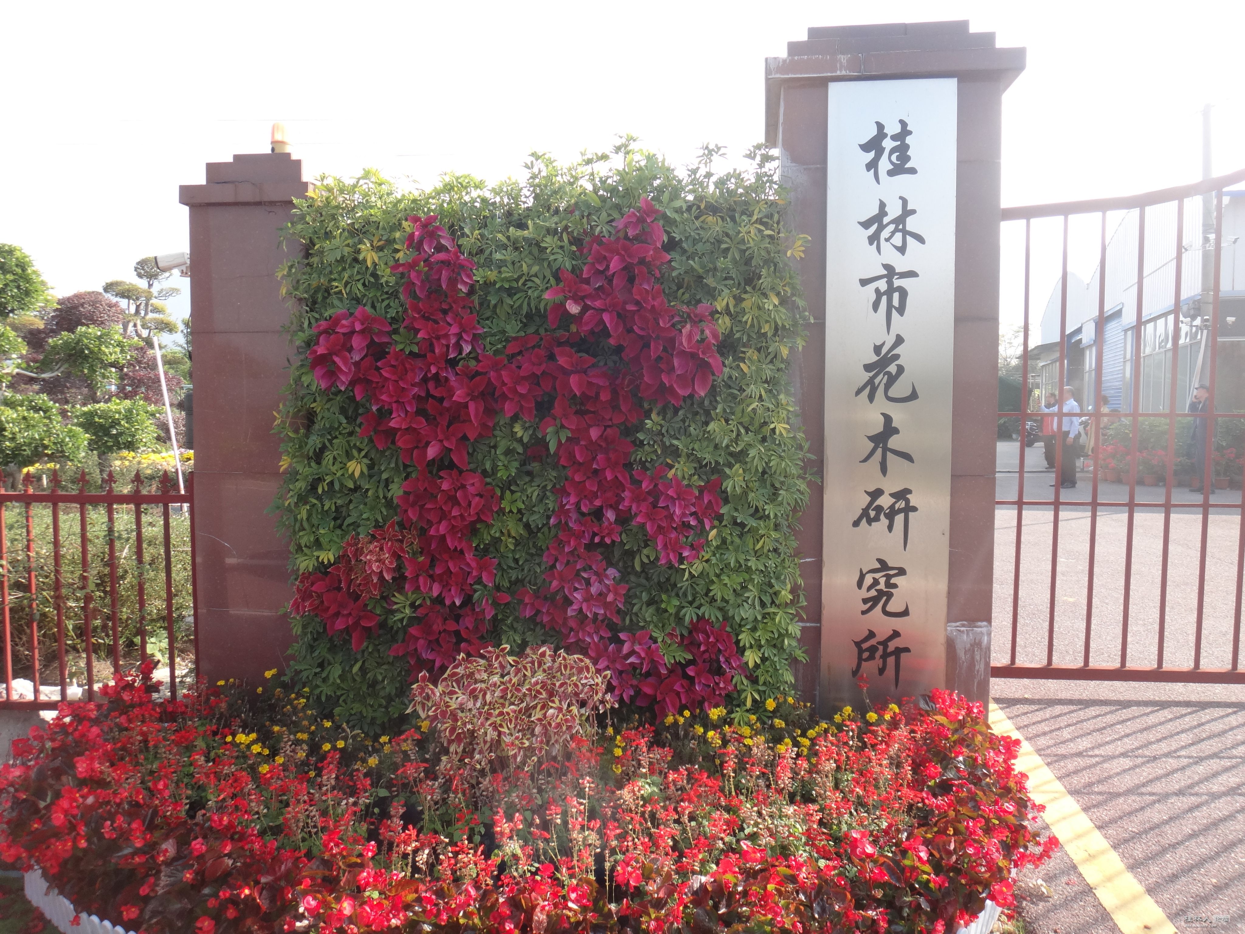 DSC07113.JPG