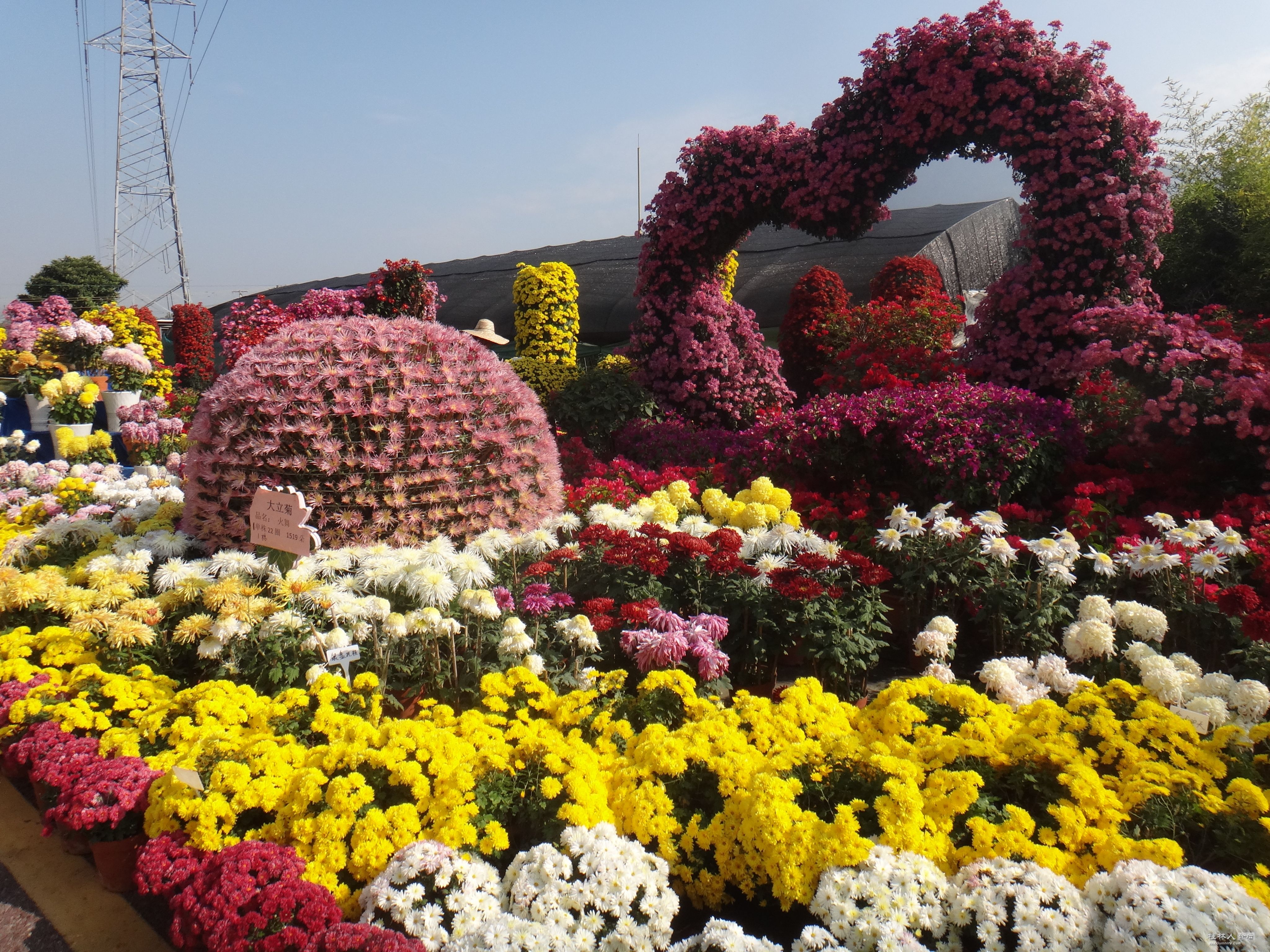 DSC07126.JPG