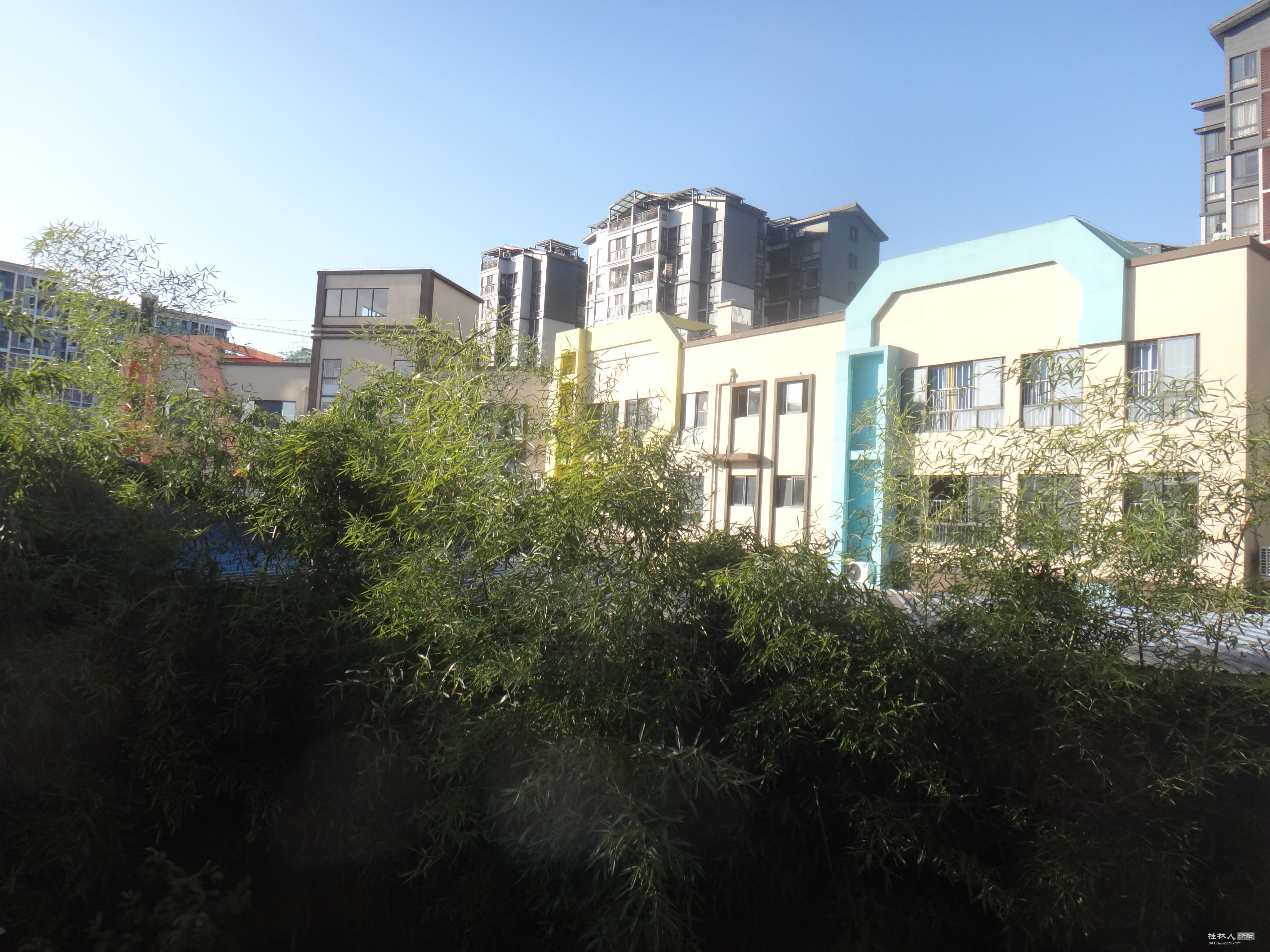 DSC07179.JPG