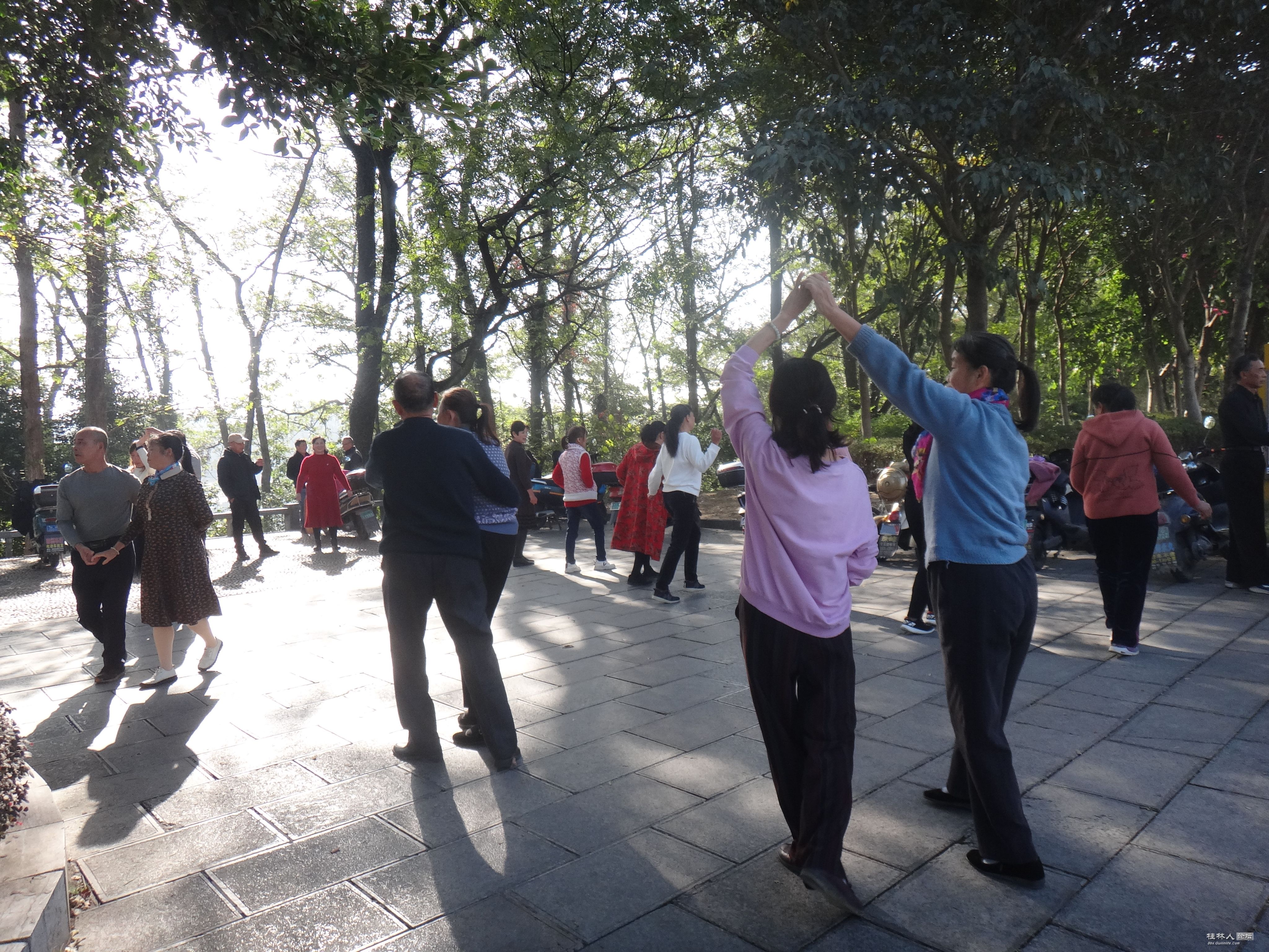 DSC07166.JPG