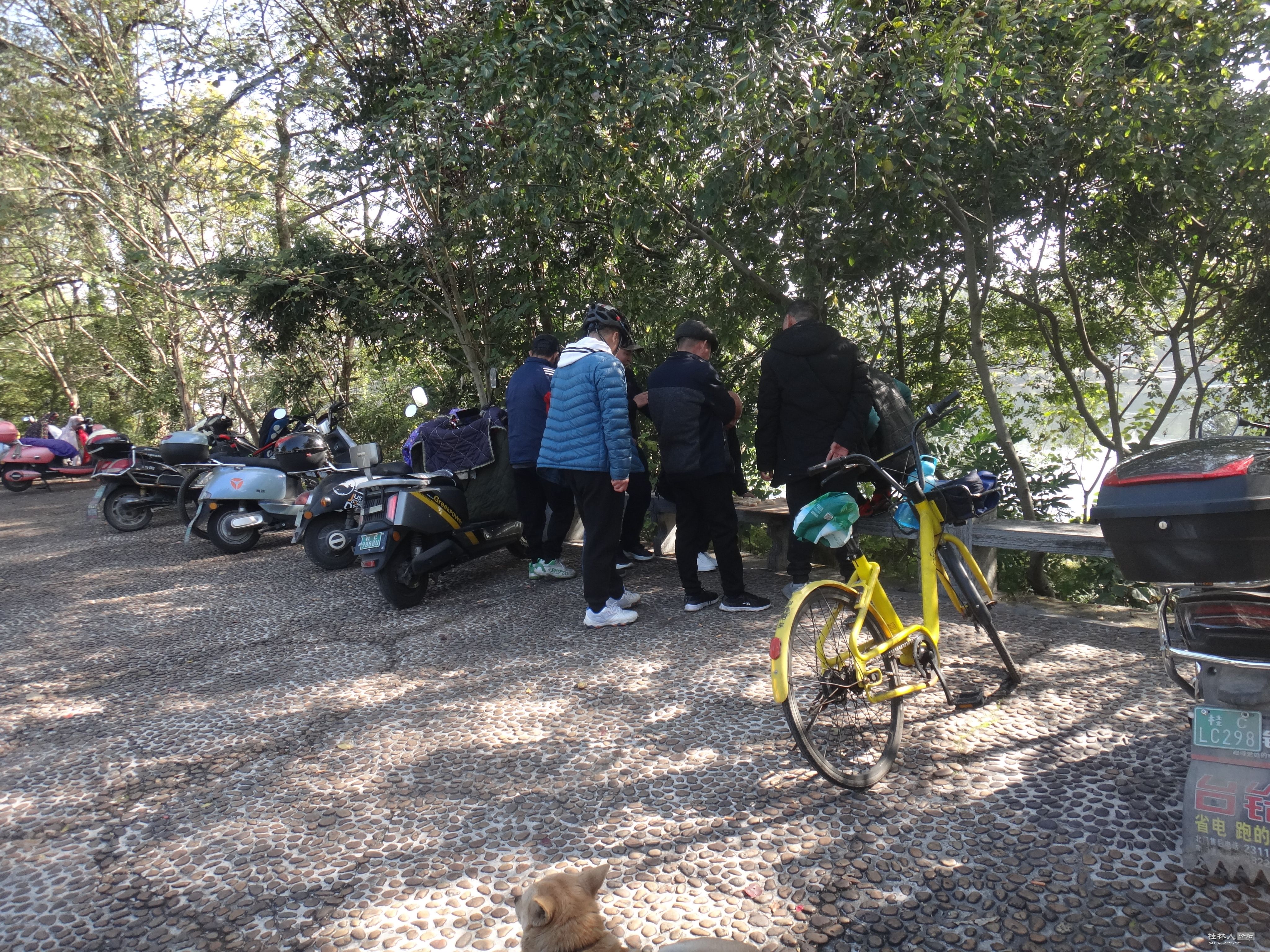 DSC07178.JPG