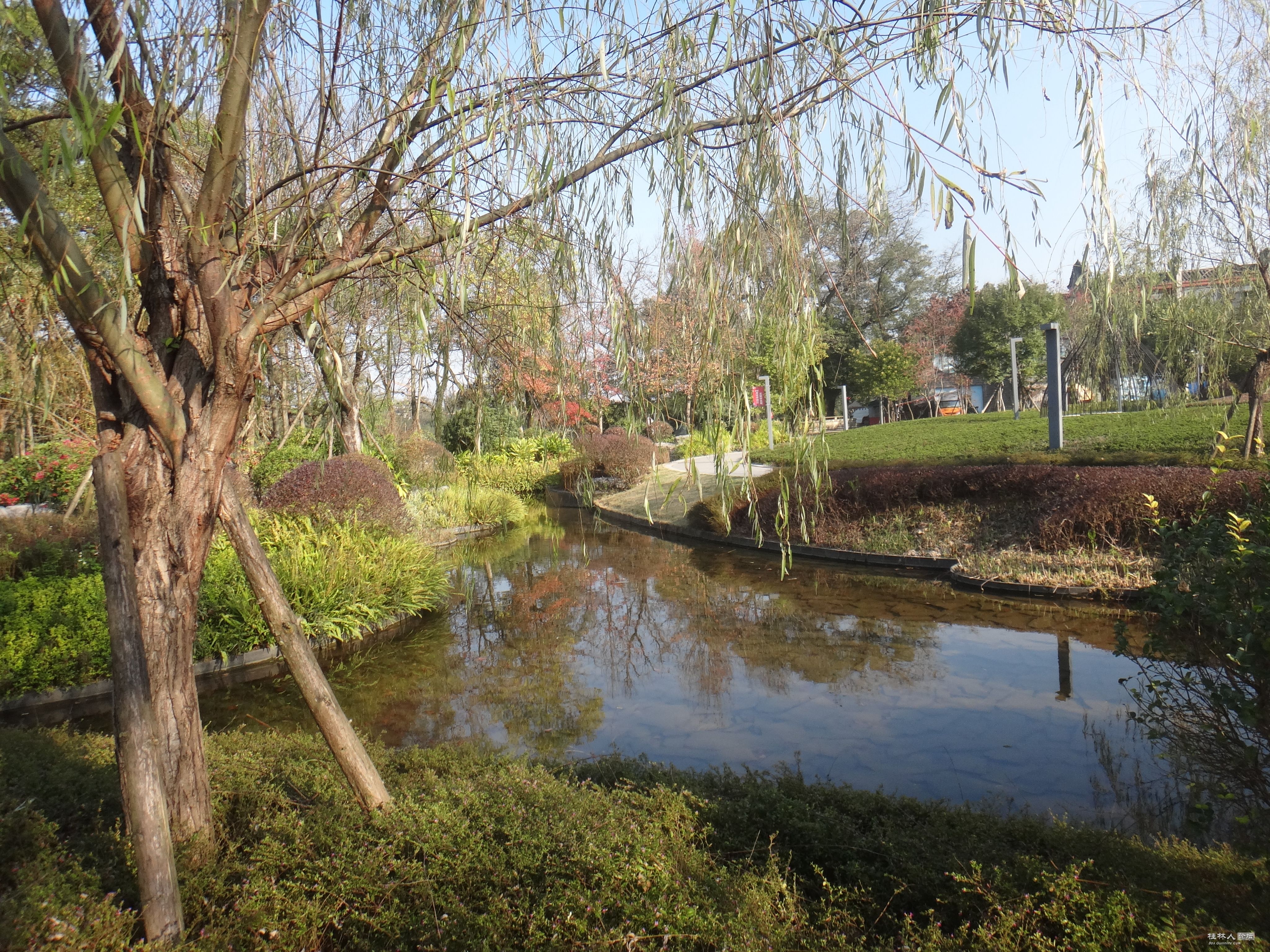 DSC07282.JPG