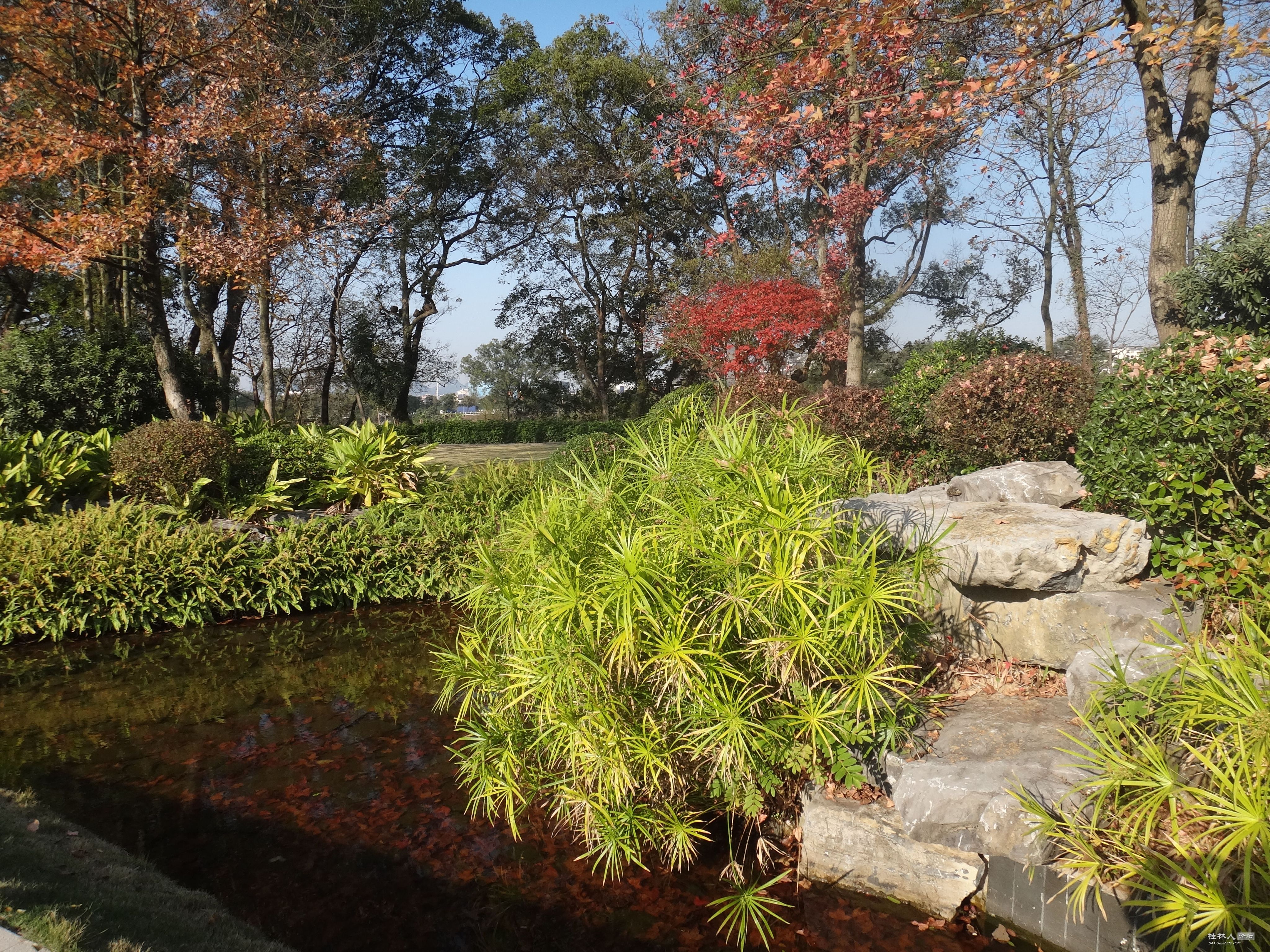 DSC07283.JPG