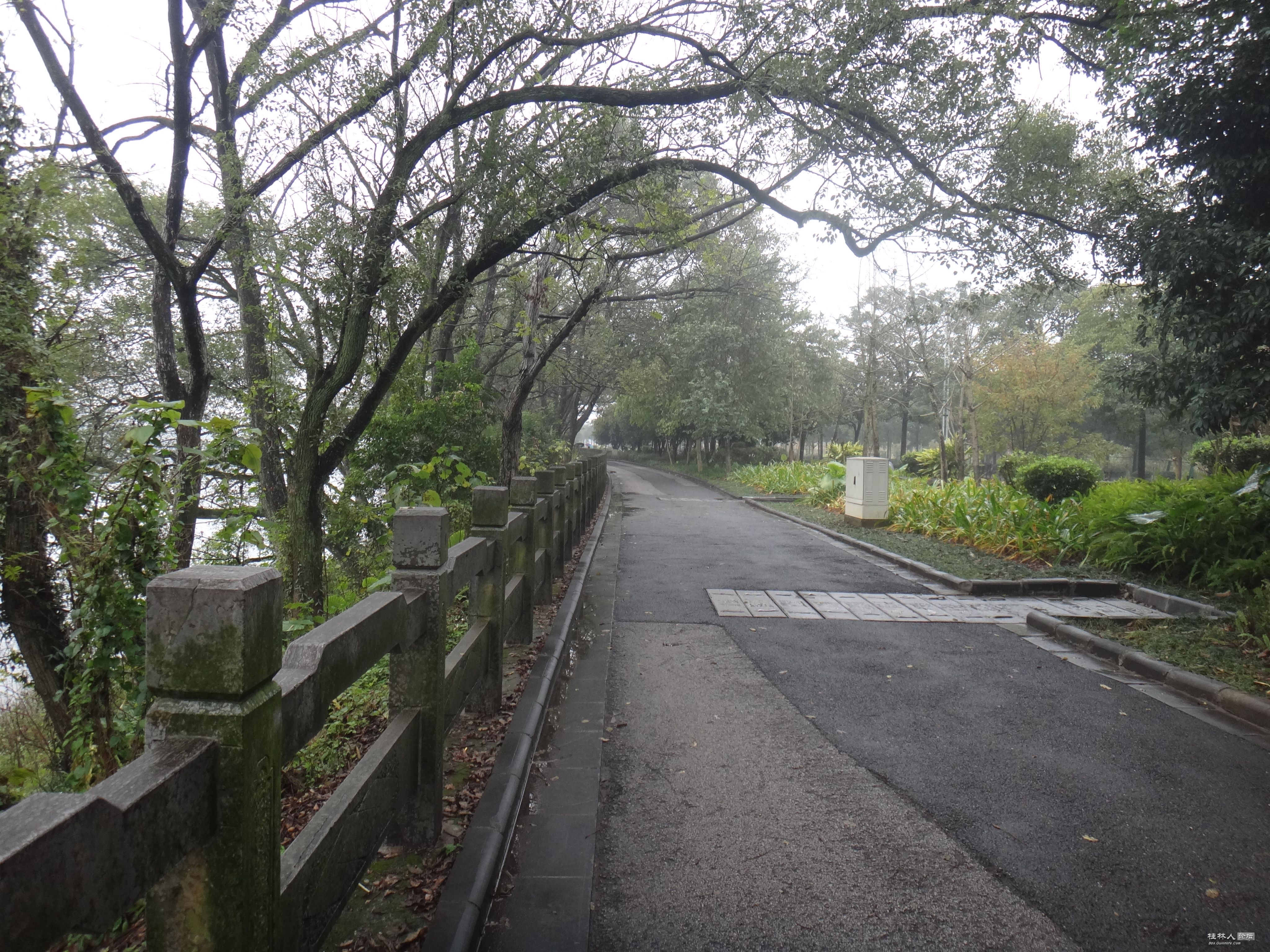 DSC07333.JPG