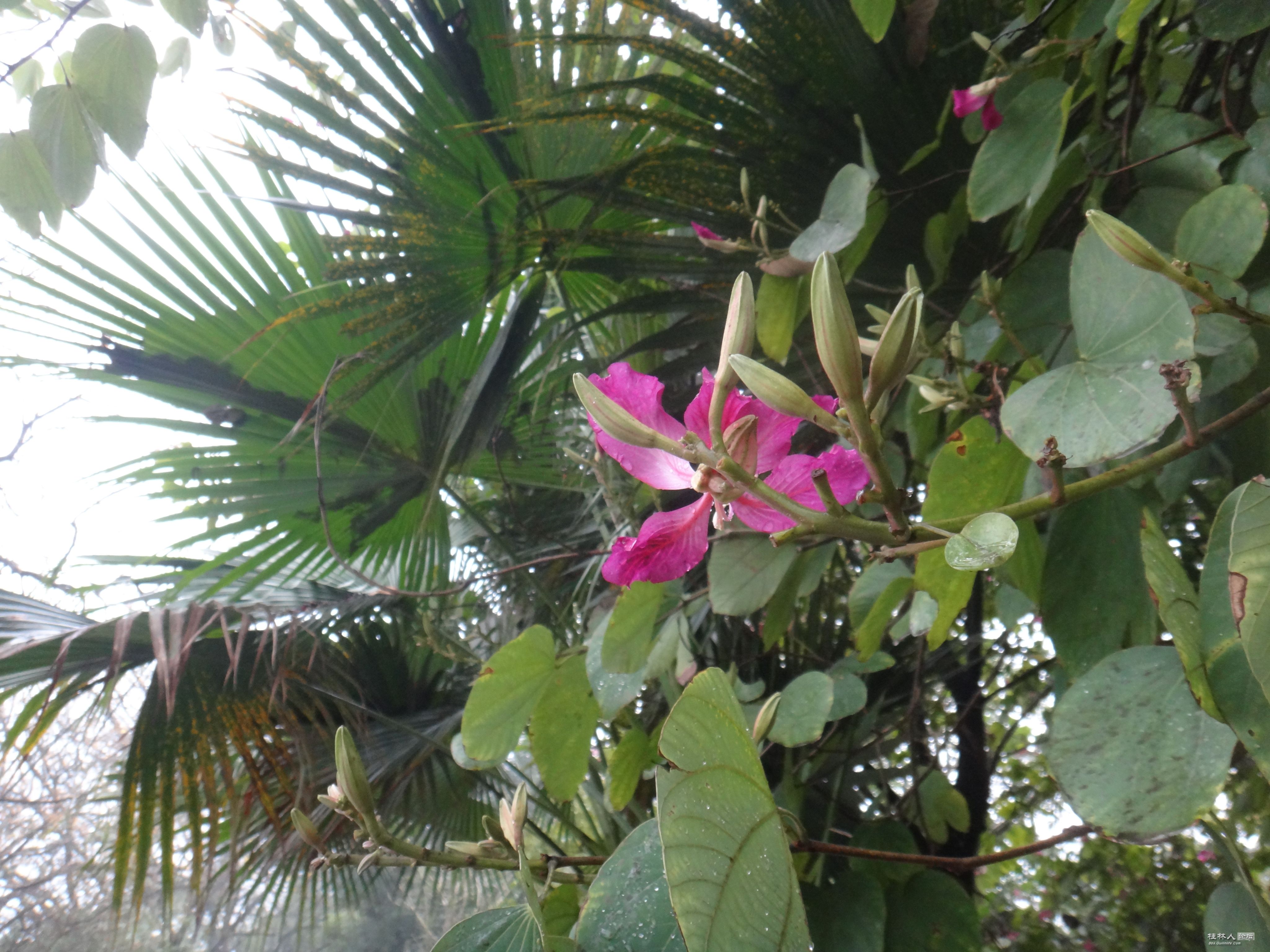DSC07340.JPG
