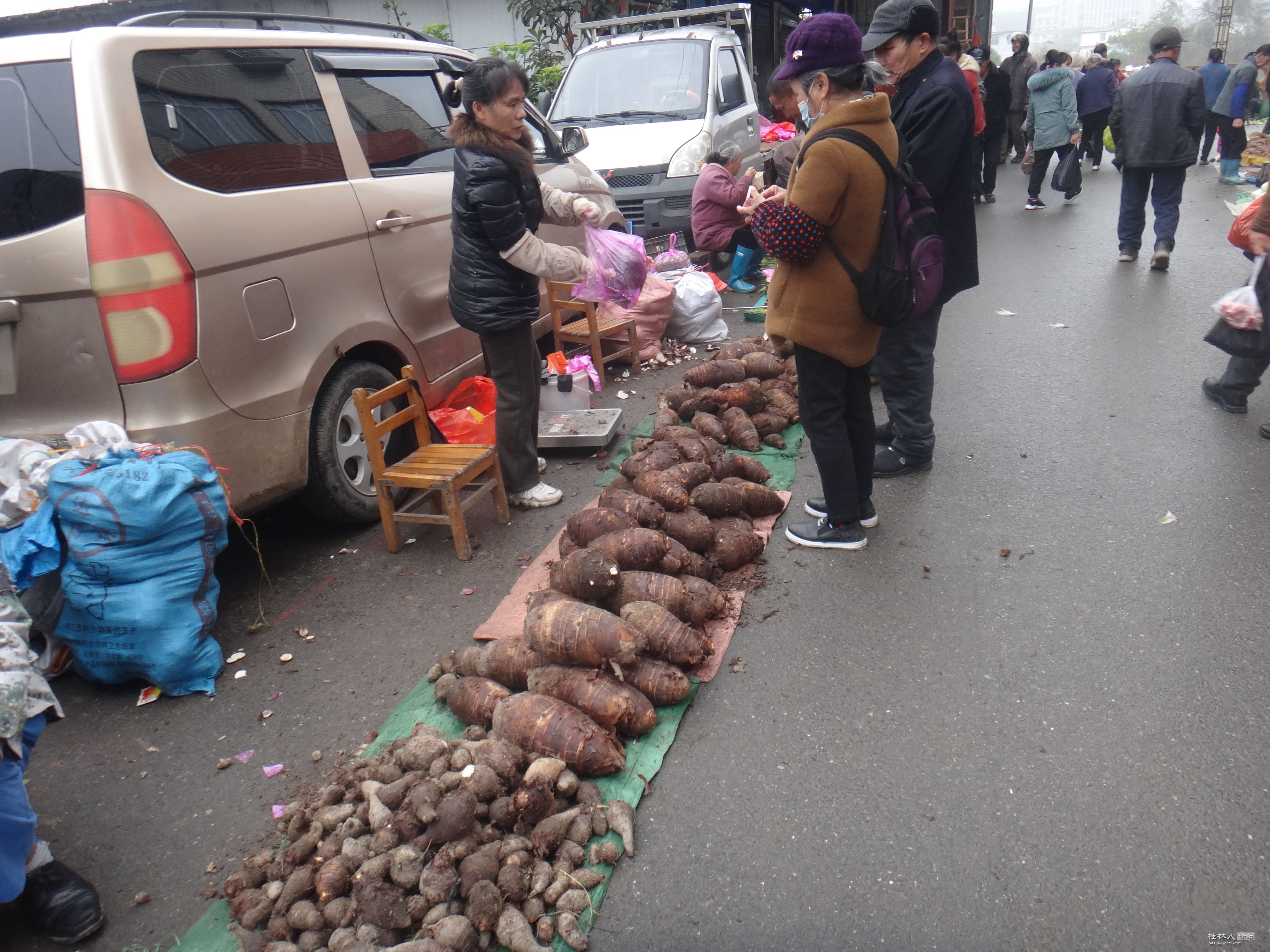 DSC07364.JPG