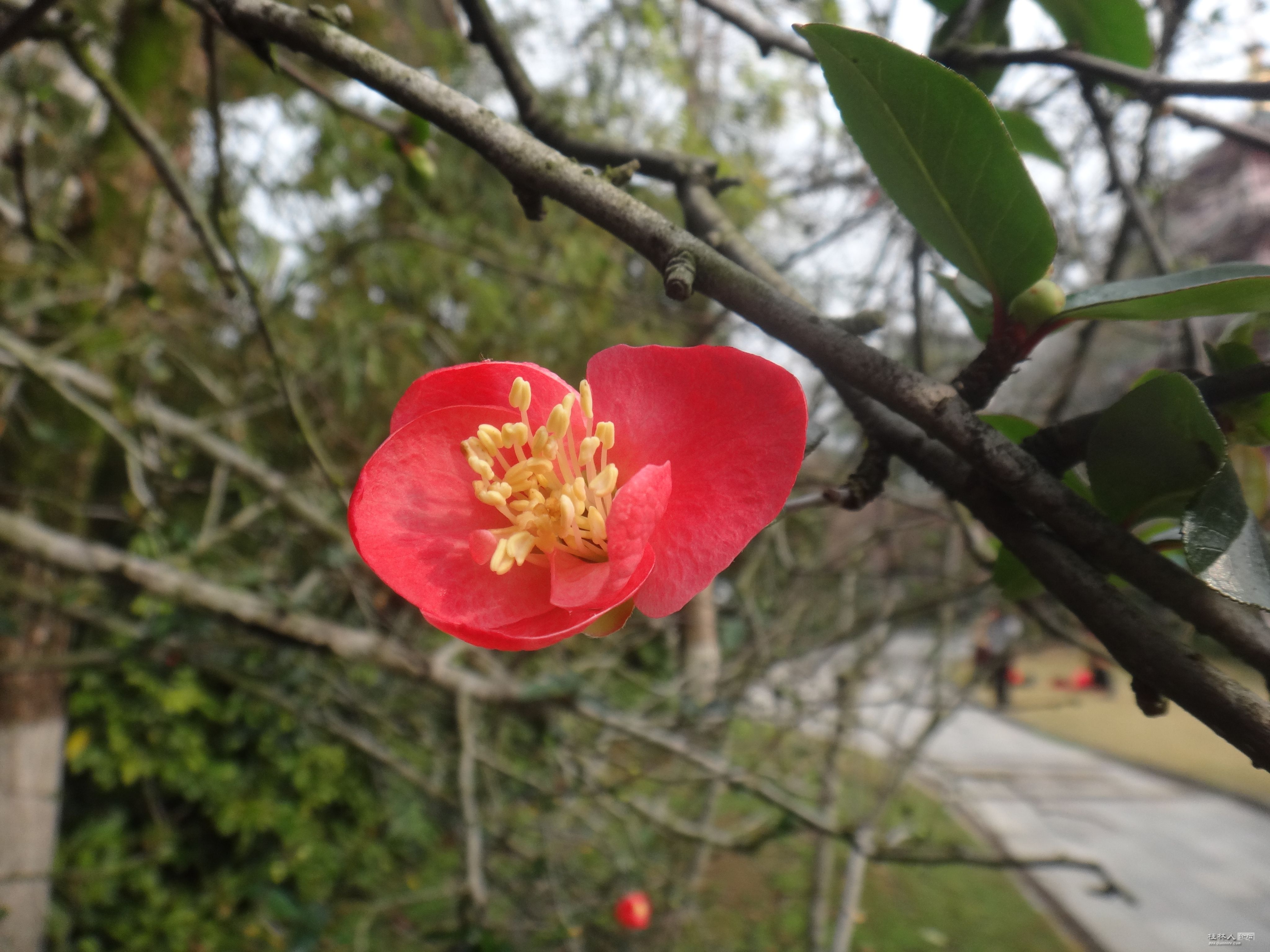 DSC07386.JPG