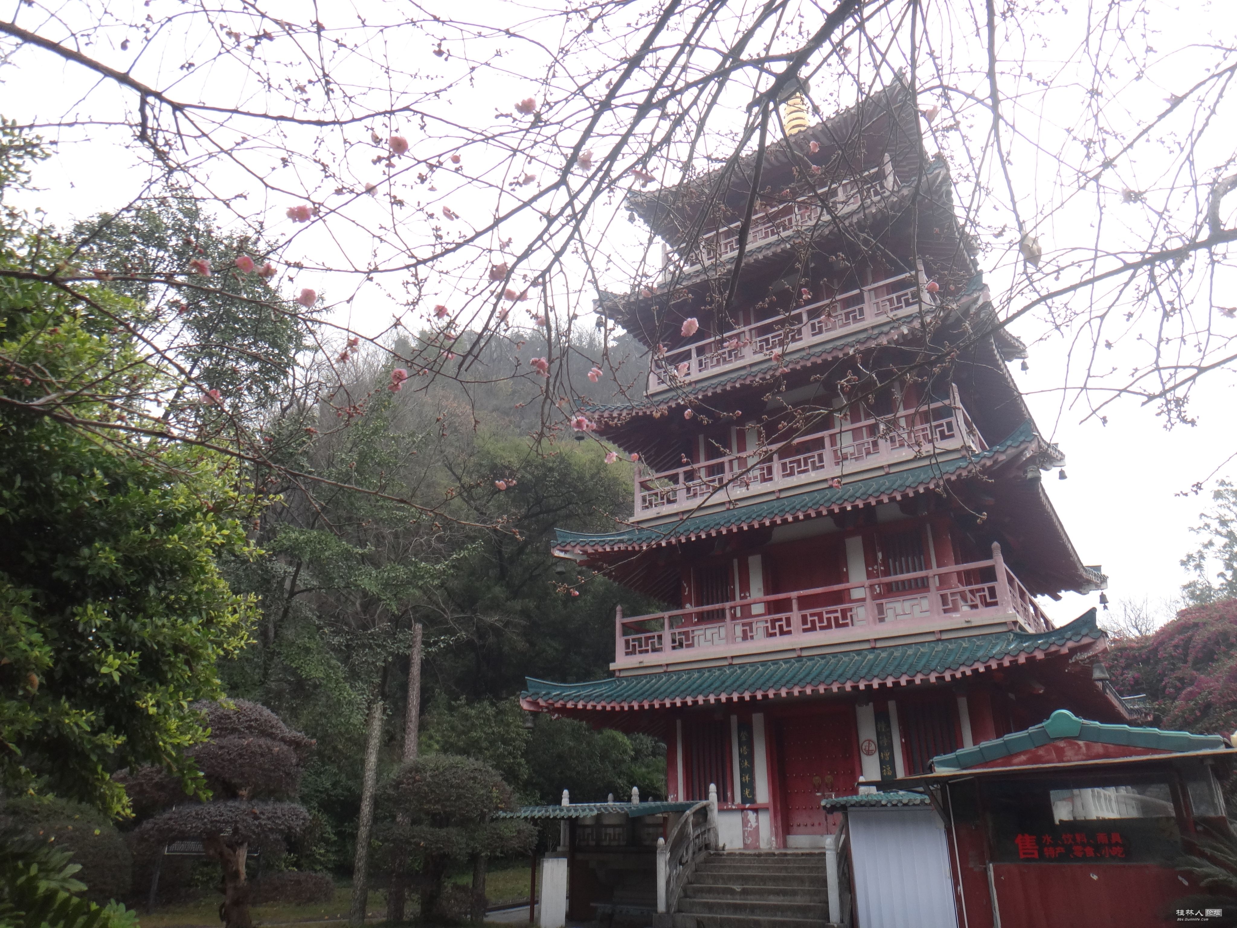 DSC07374.JPG