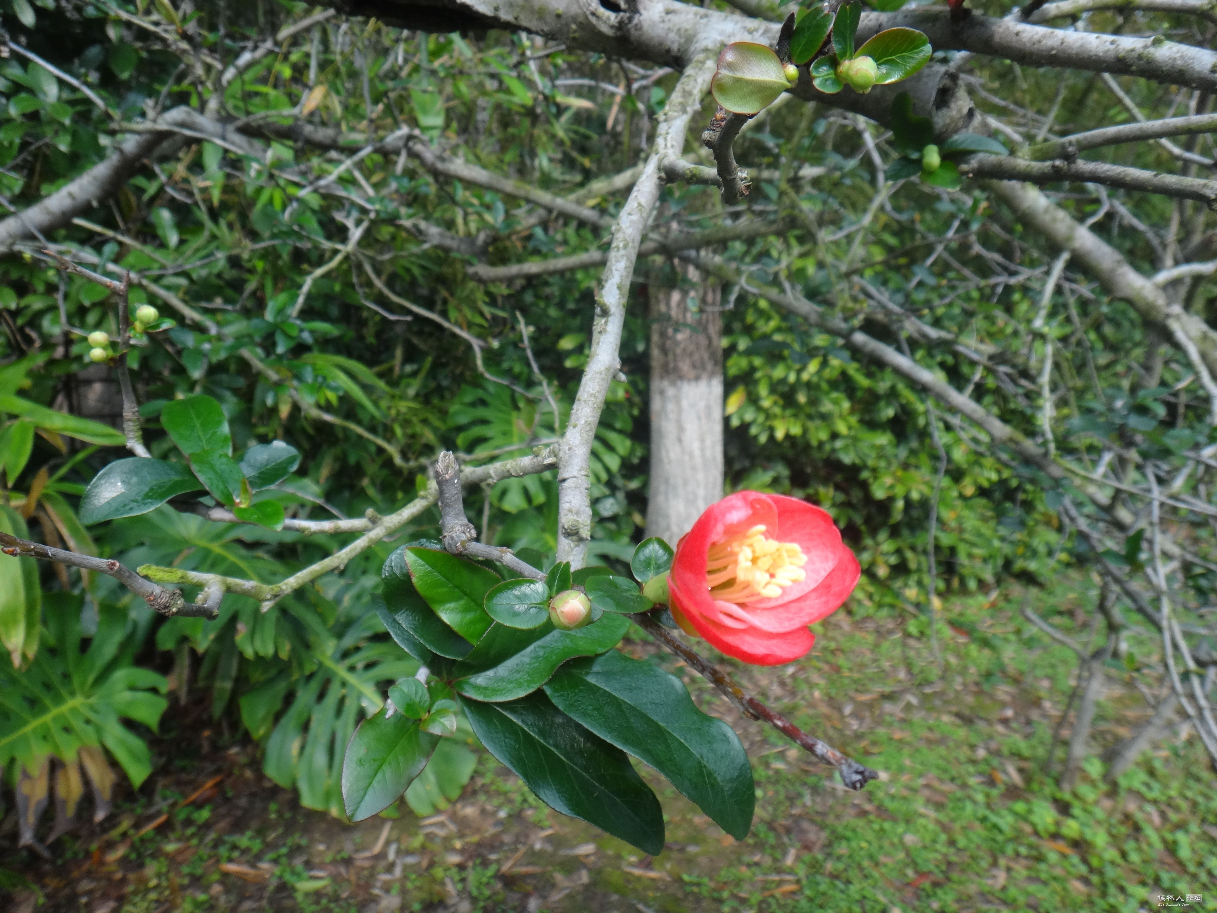 DSC07383.JPG